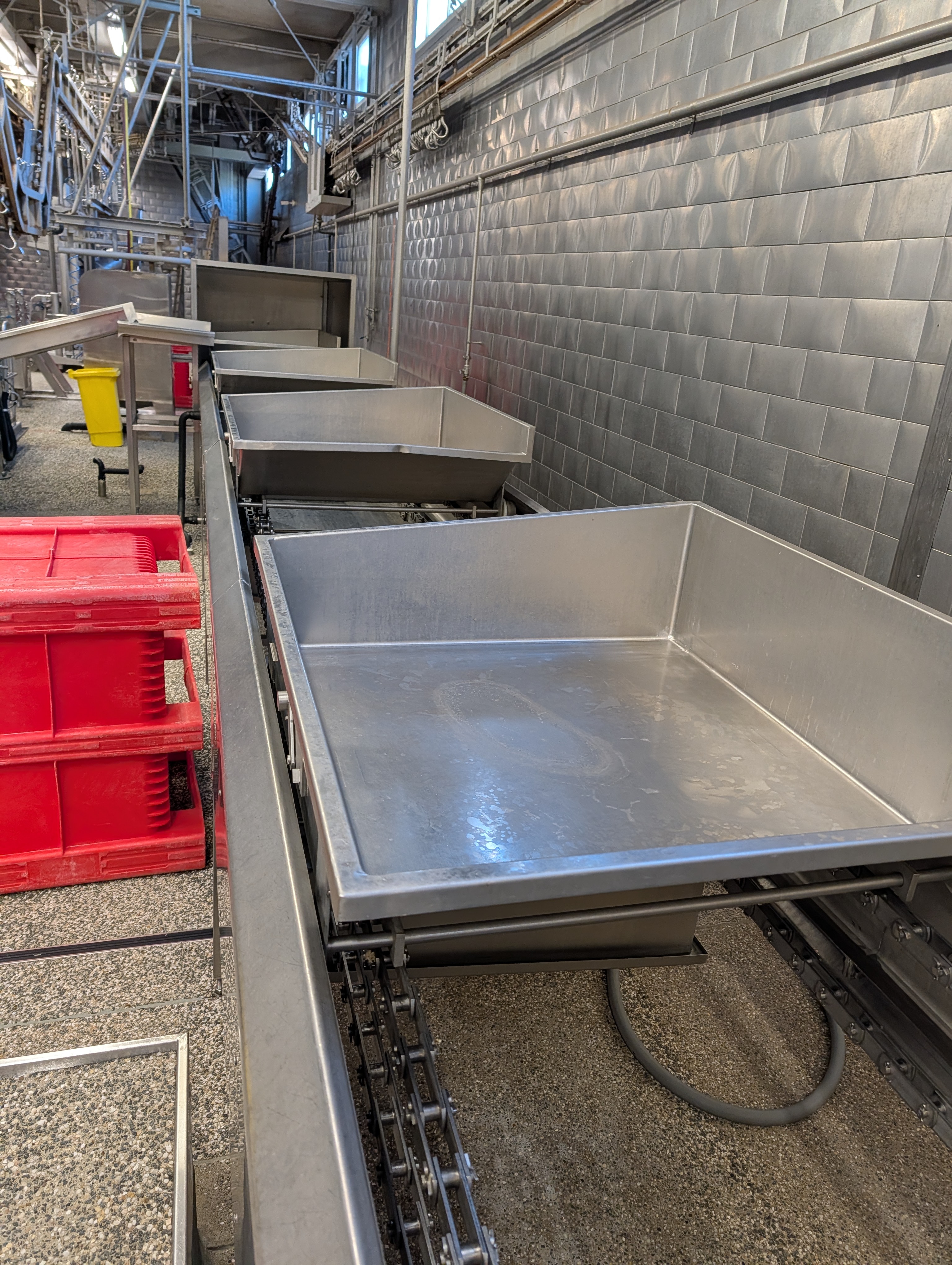 Used 50 cattle per hour slaughterline