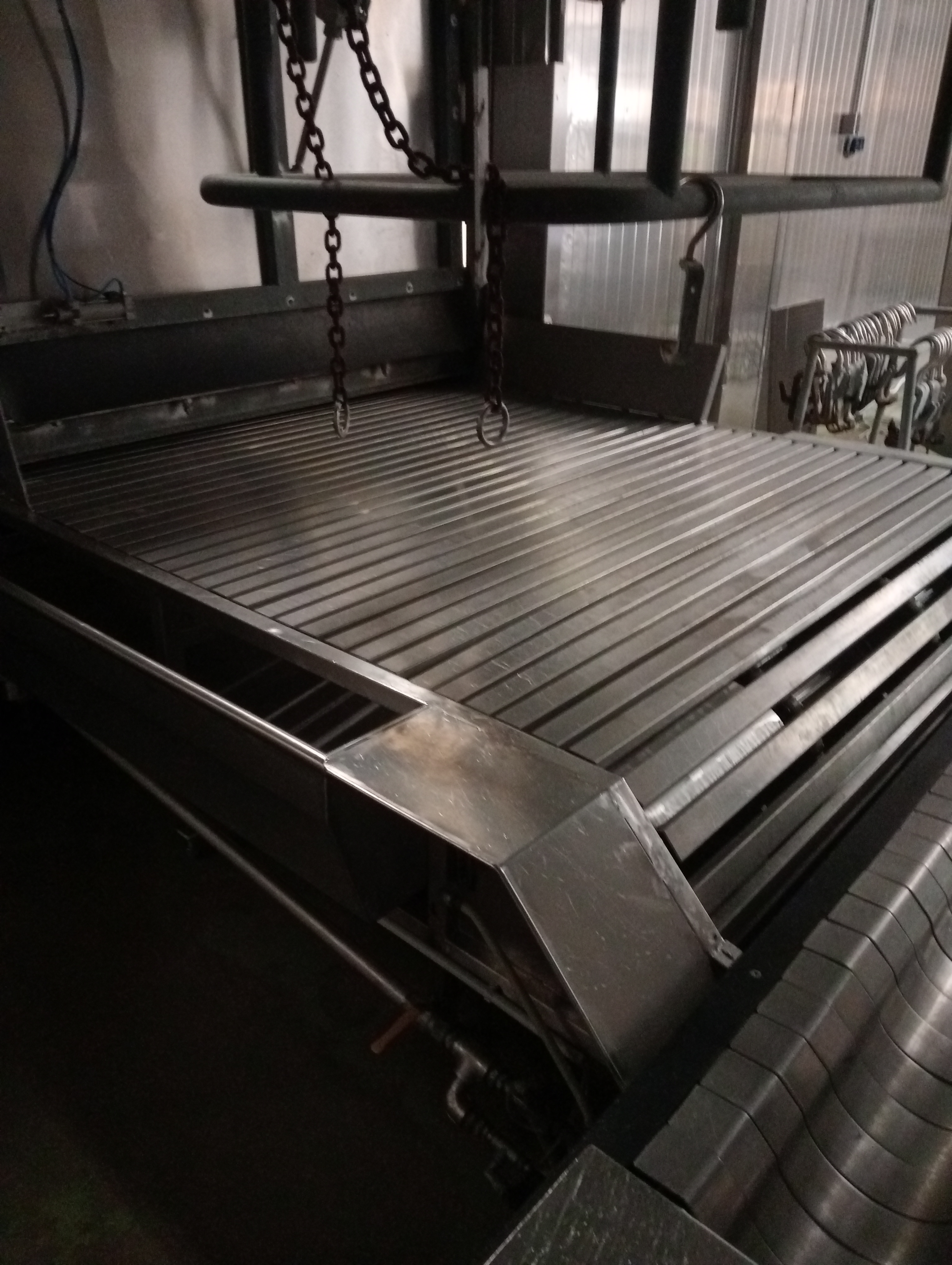 Used Cattle bleeding belt