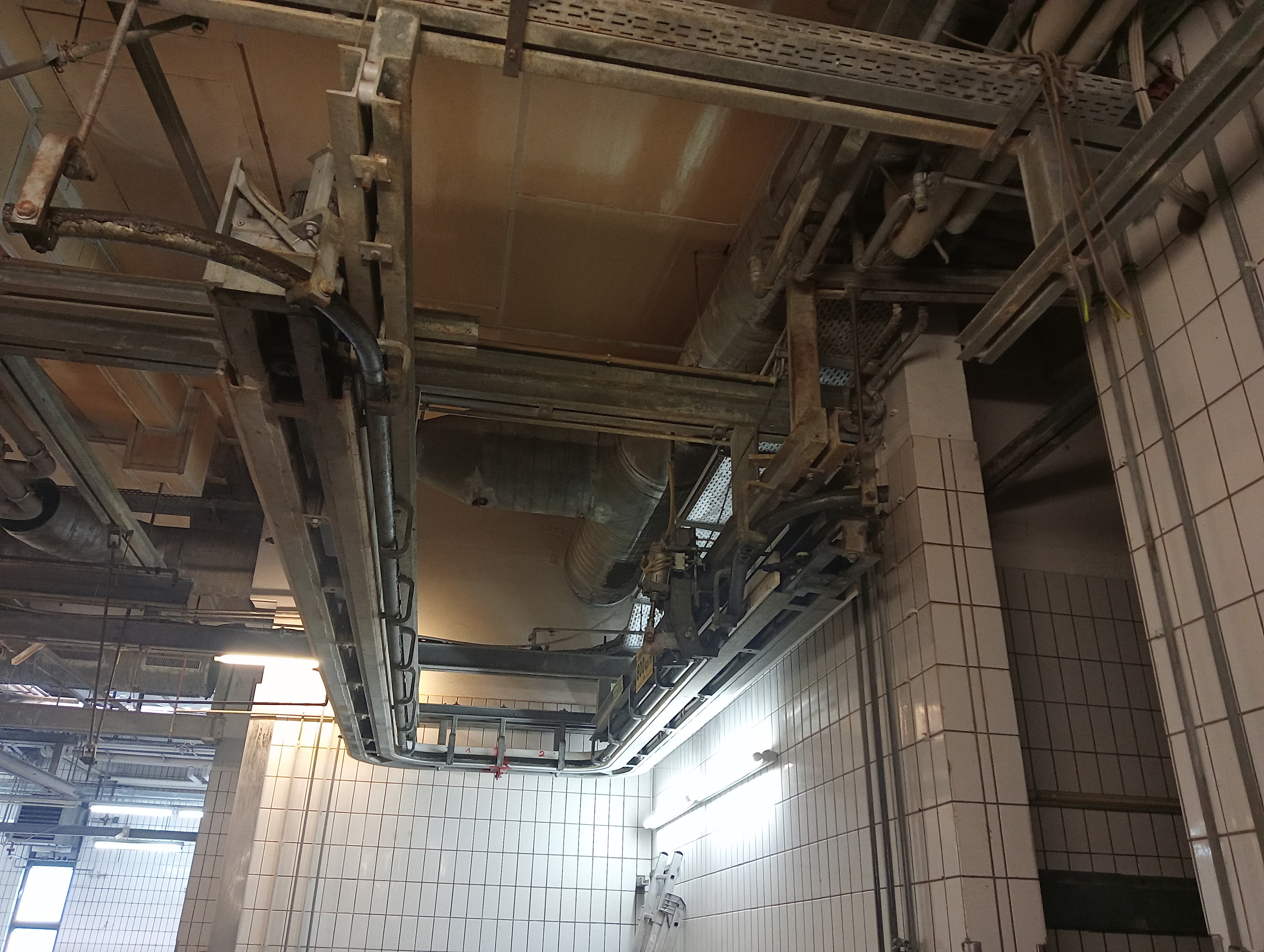 Used Bleeding conveyor