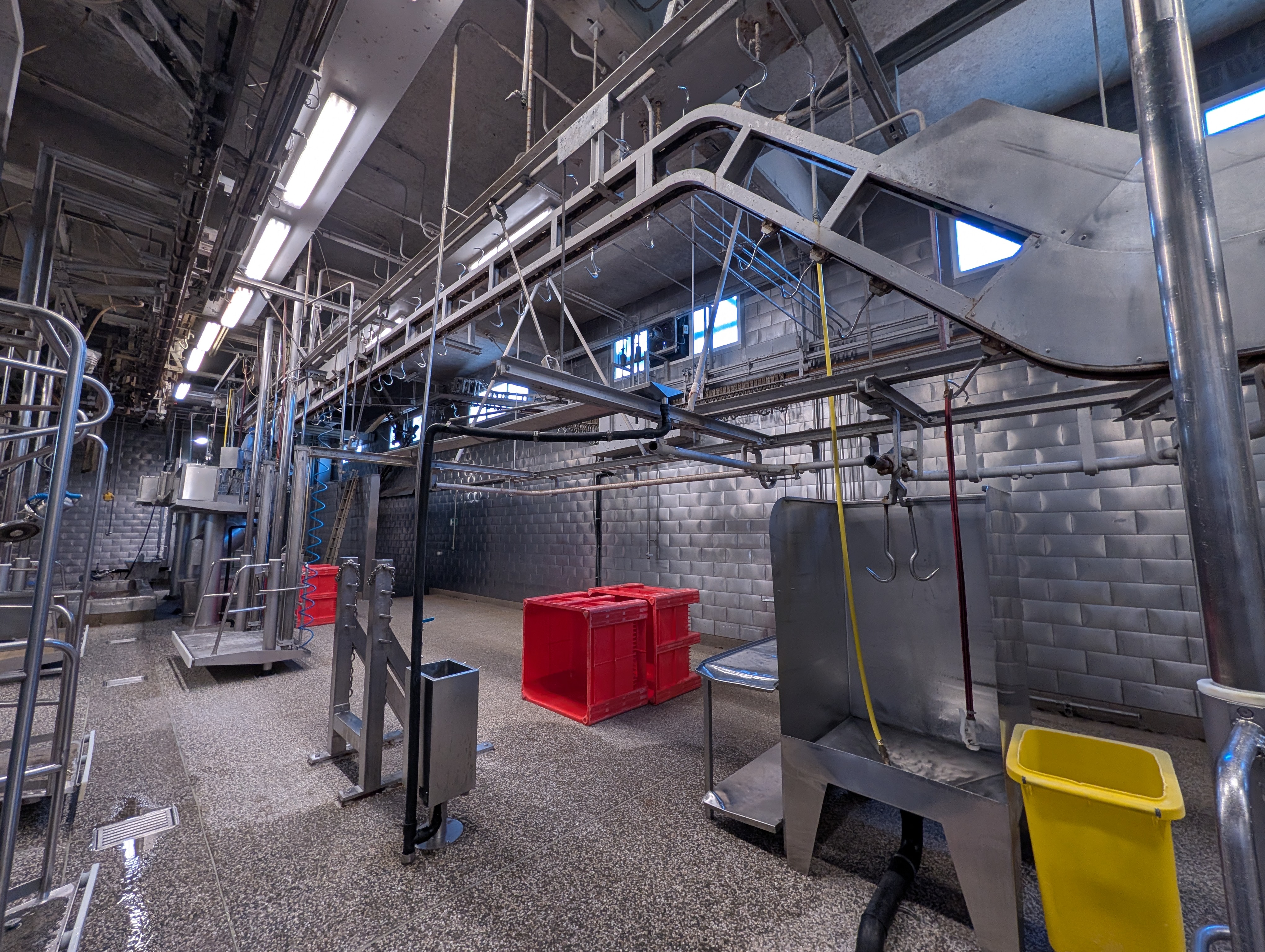 Used 50 cattle per hour slaughterline