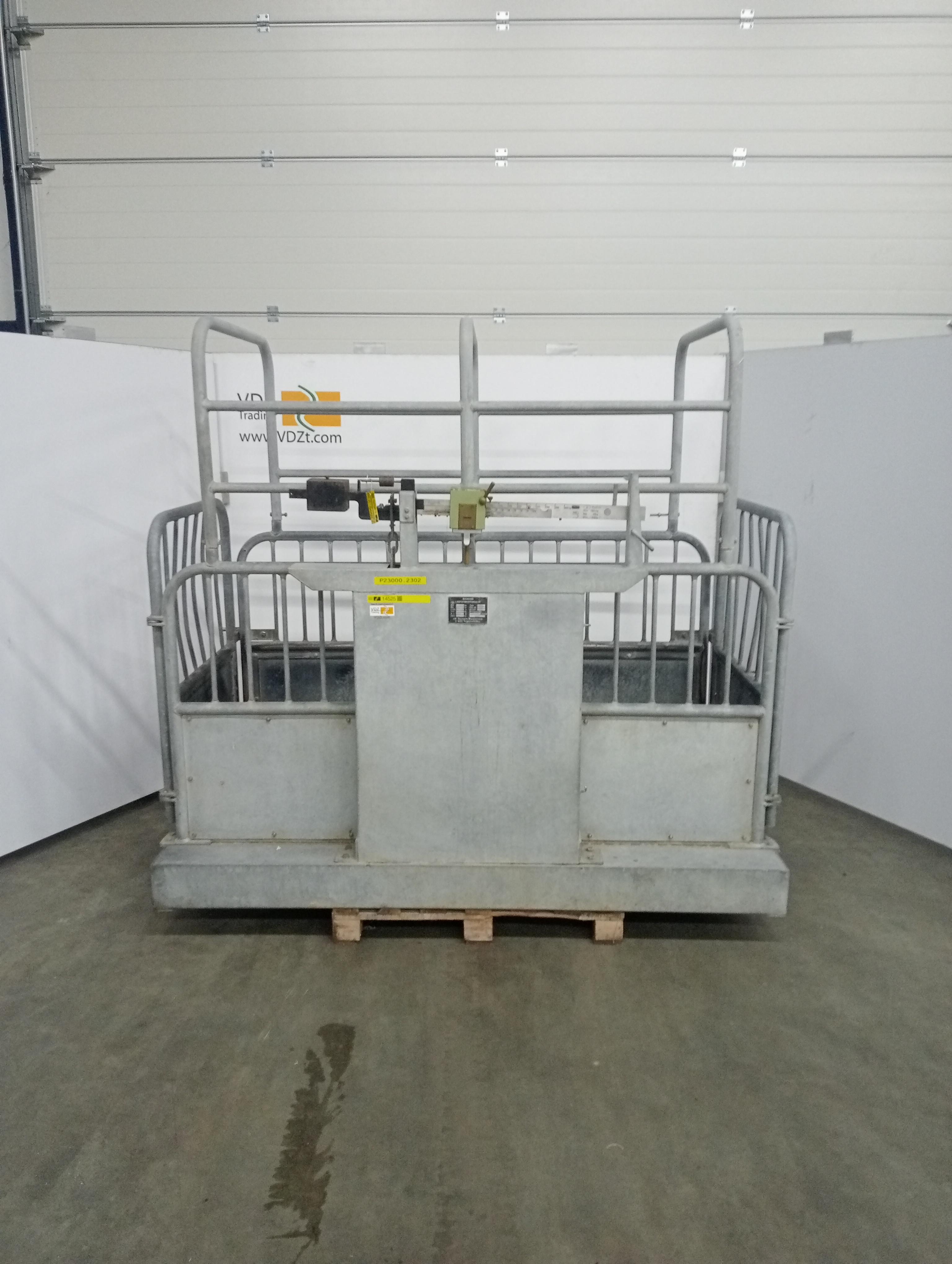 Used Weighing scale for live animals