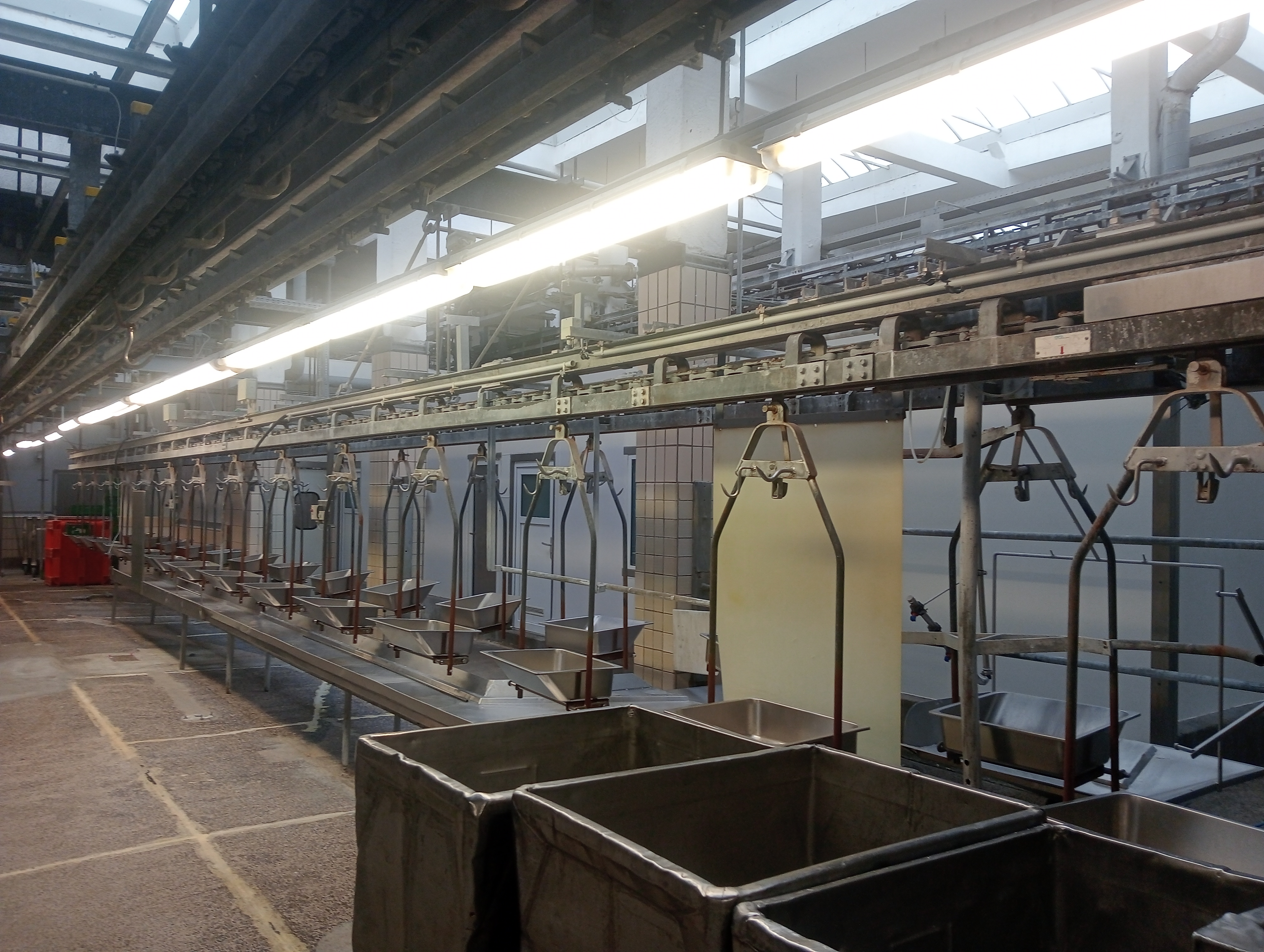 Used Organ conveyor