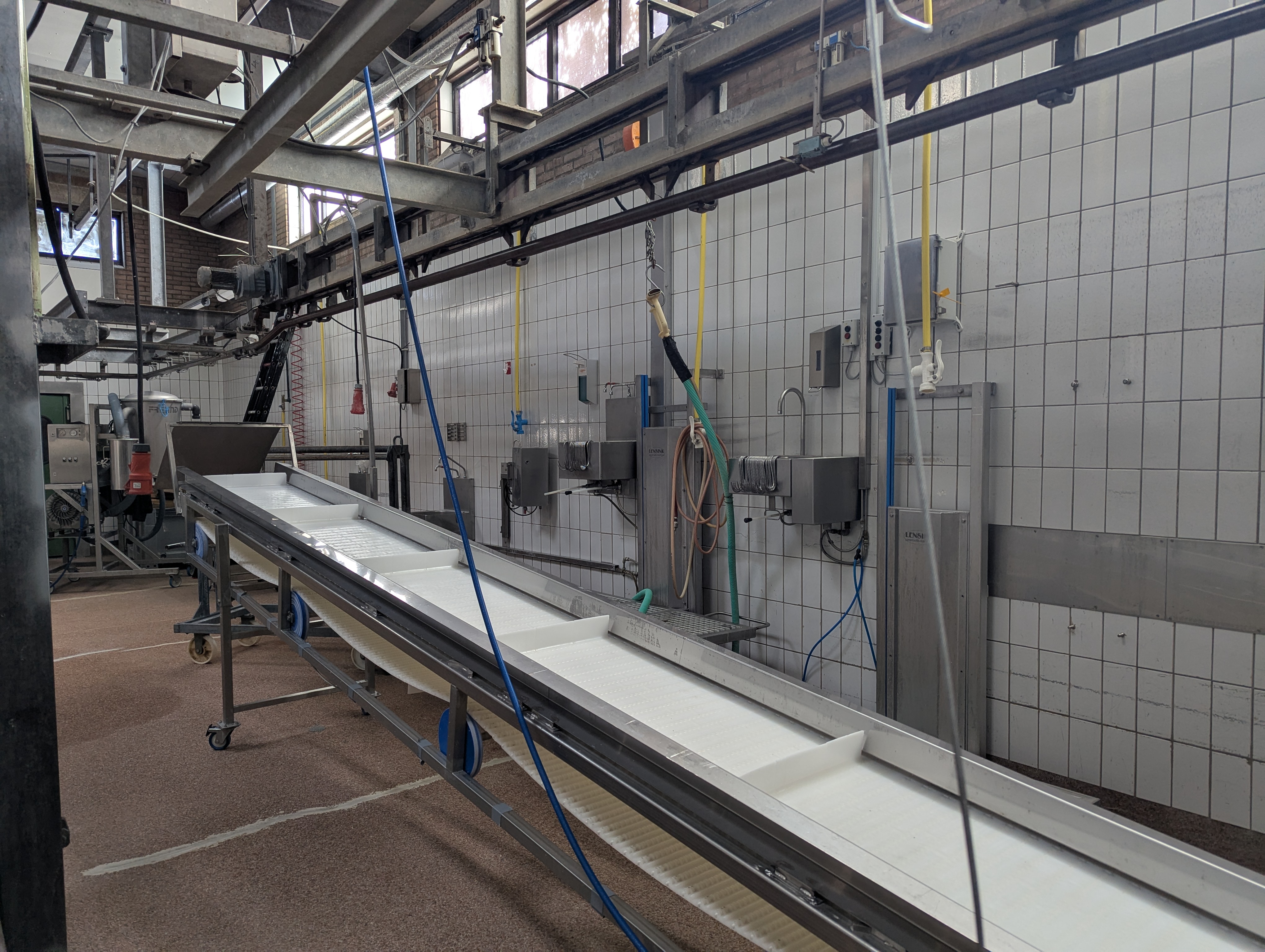 Used Sheep and cattle slaughterline