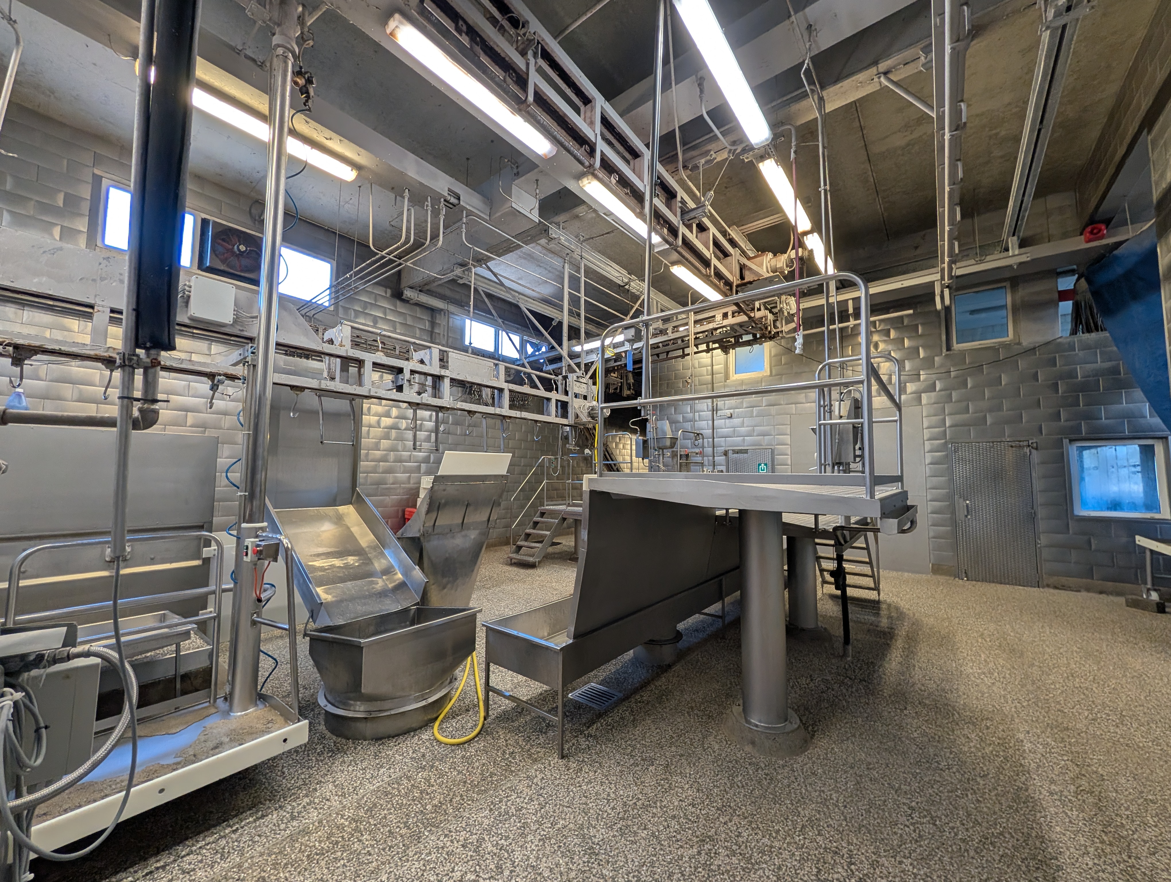 Used 50 cattle per hour slaughterline