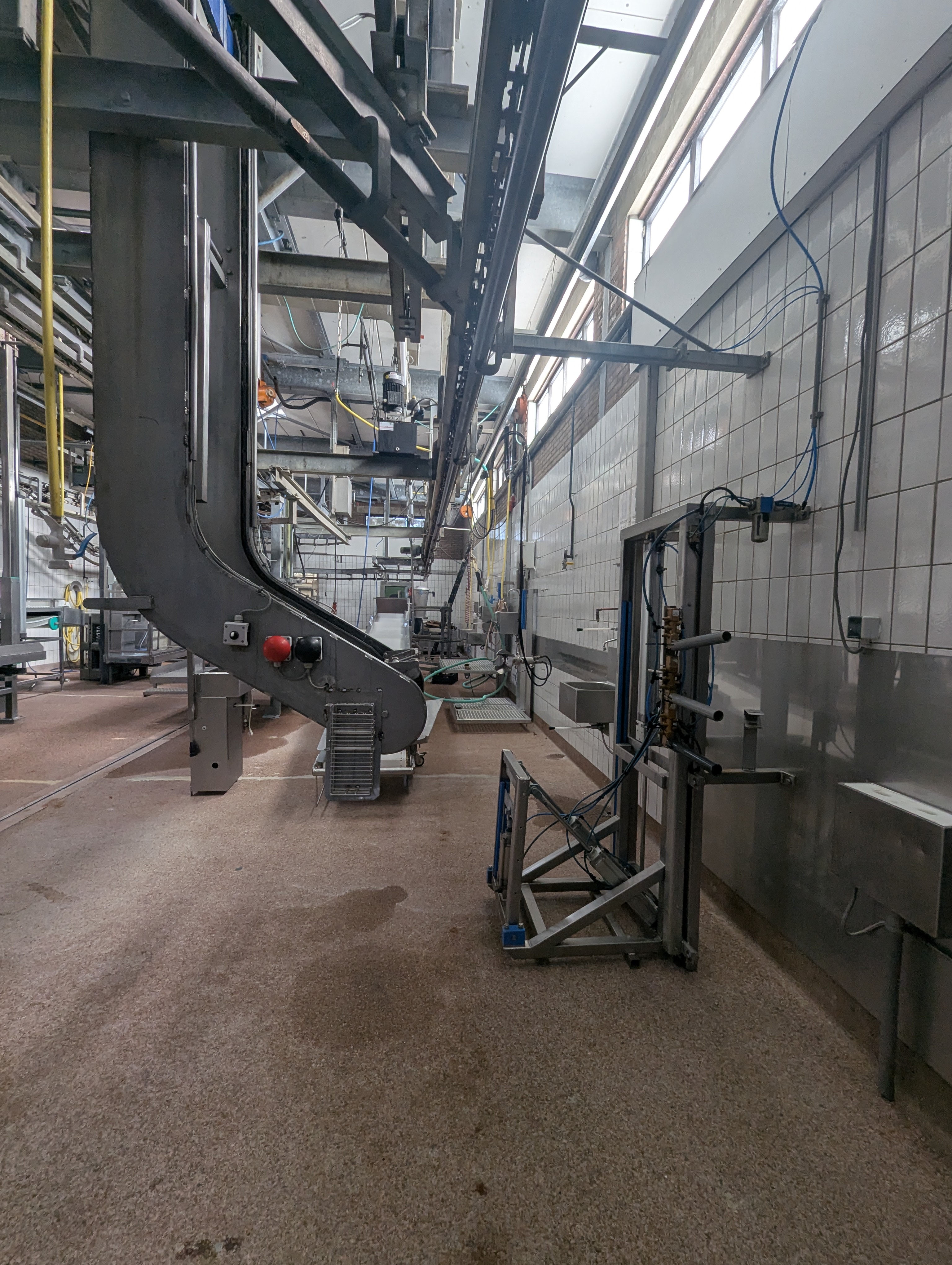 Used Sheep and cattle slaughterline