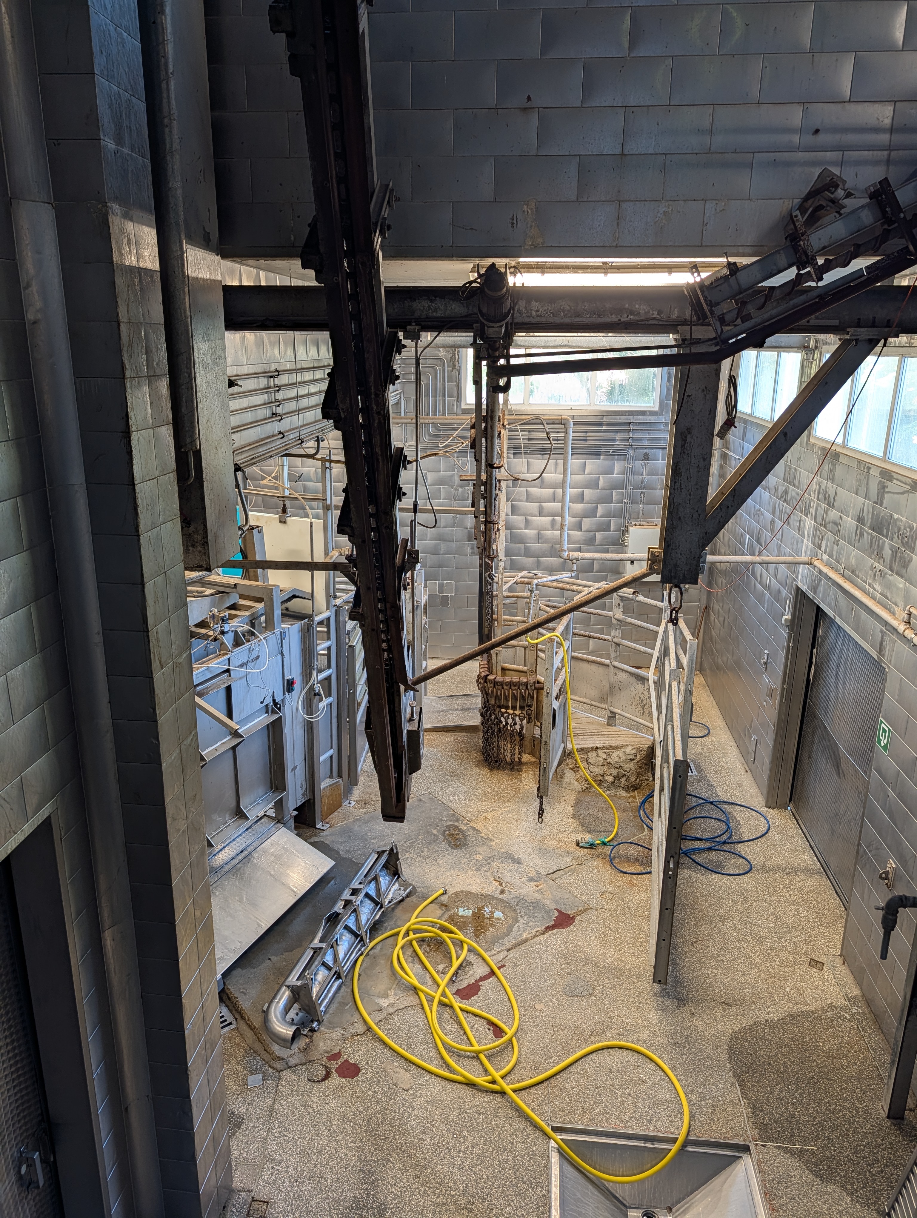 Used 50 cattle per hour slaughterline