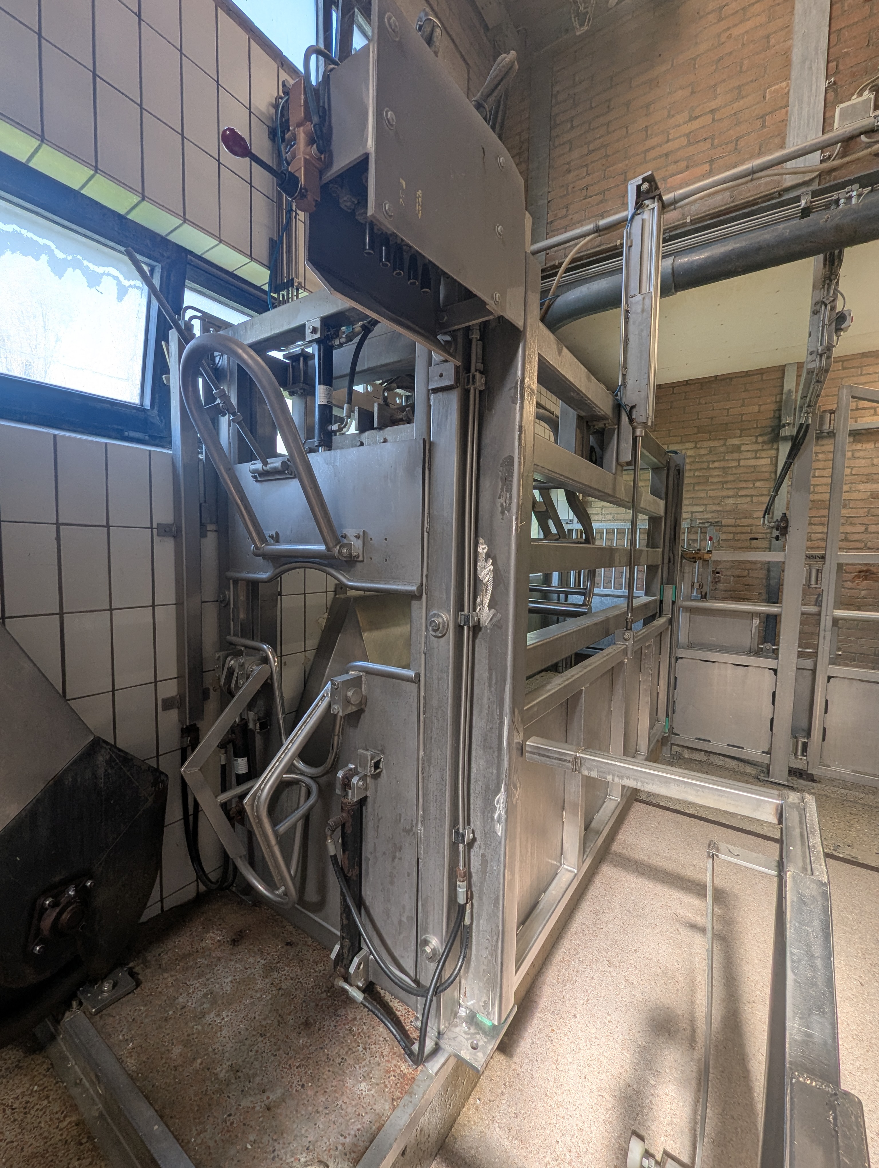 Used Sheep and cattle slaughterline