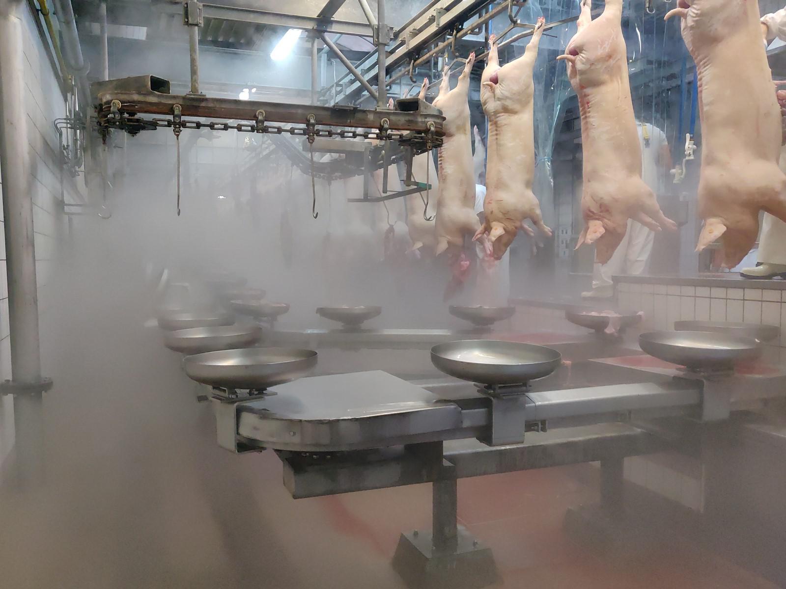 Used Pork 300 pph - Slaughterline