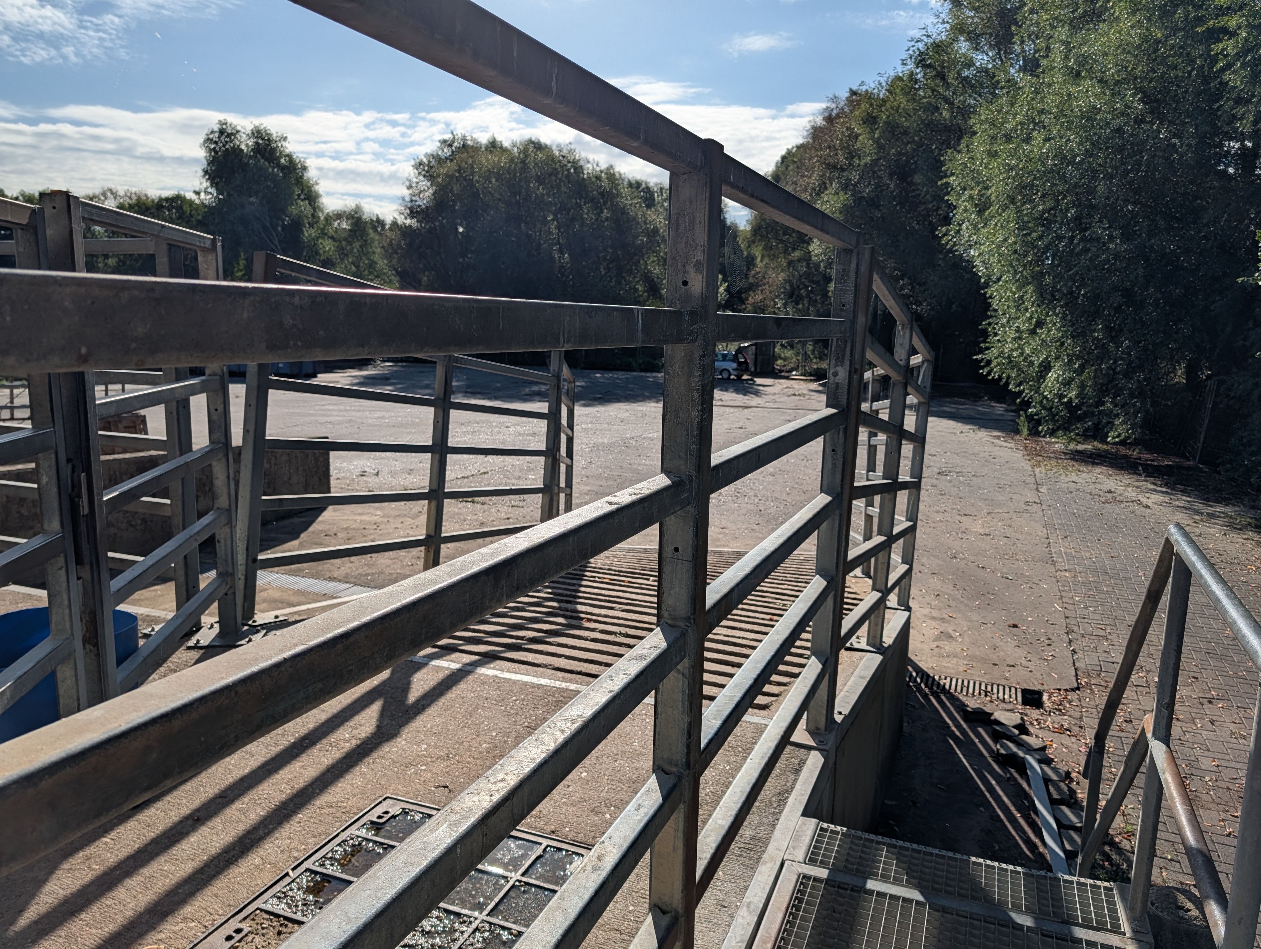 Used 50 cattle per hour slaughterline