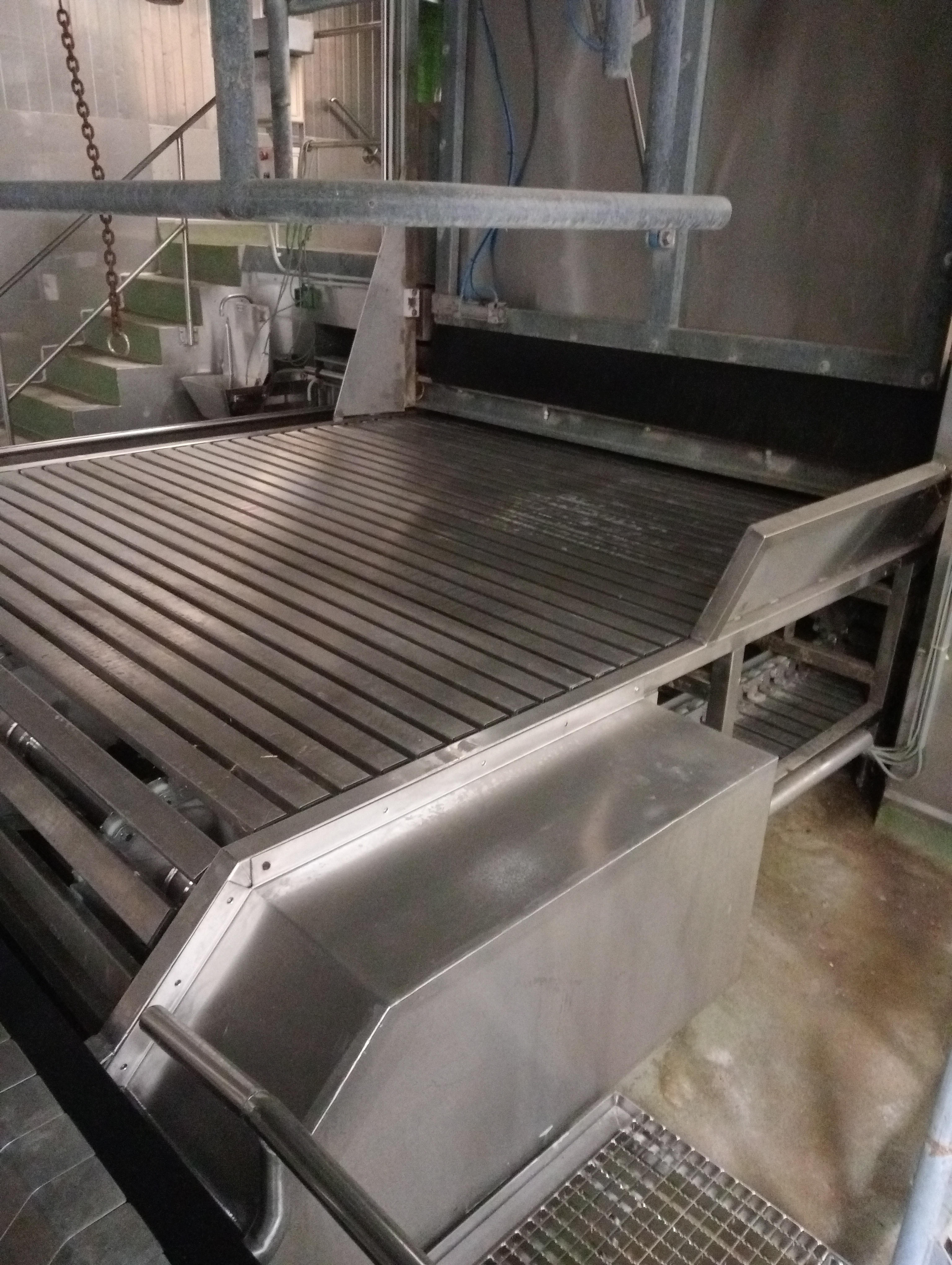 Used Cattle bleeding belt