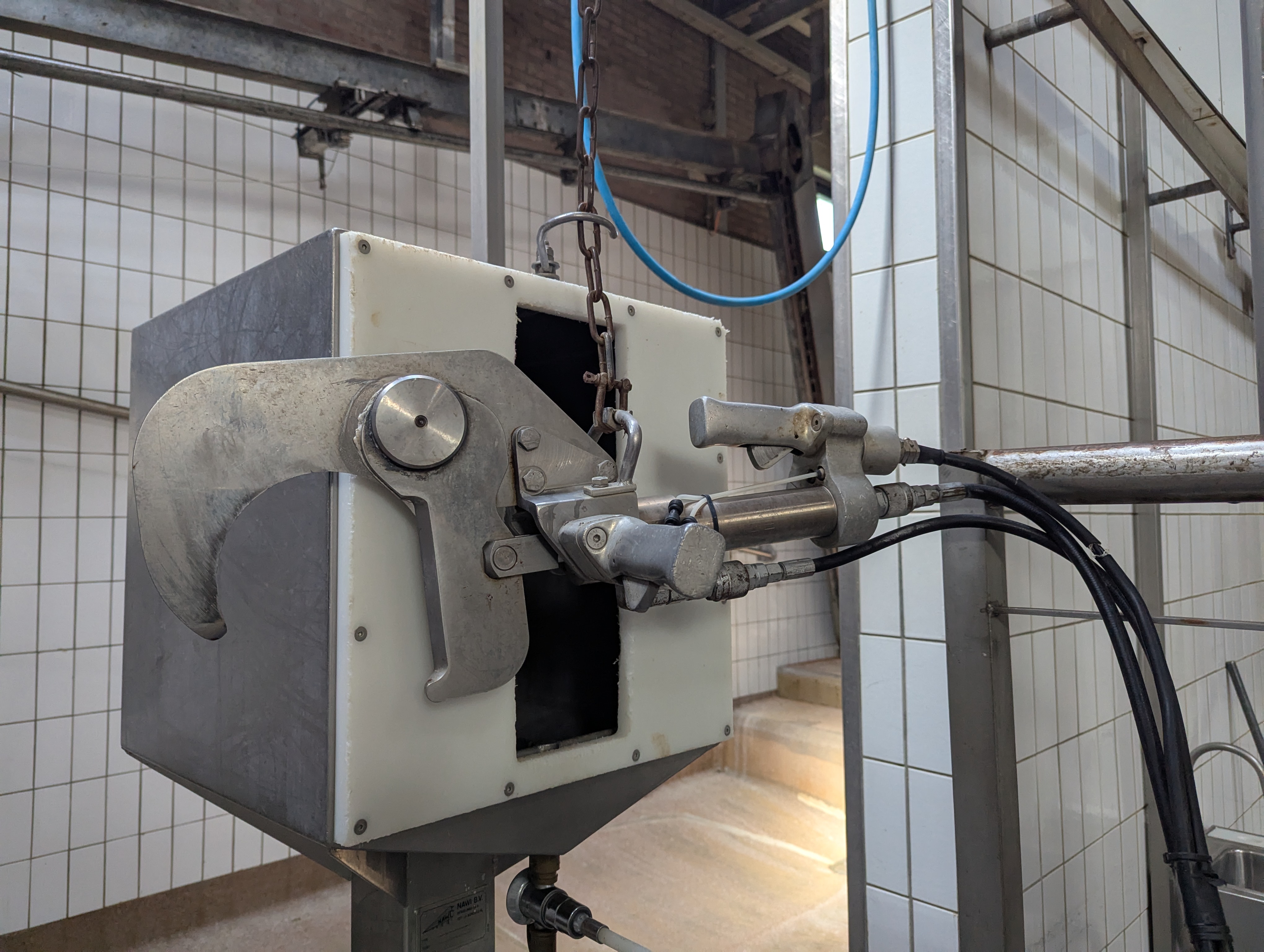 Used Sheep and cattle slaughterline