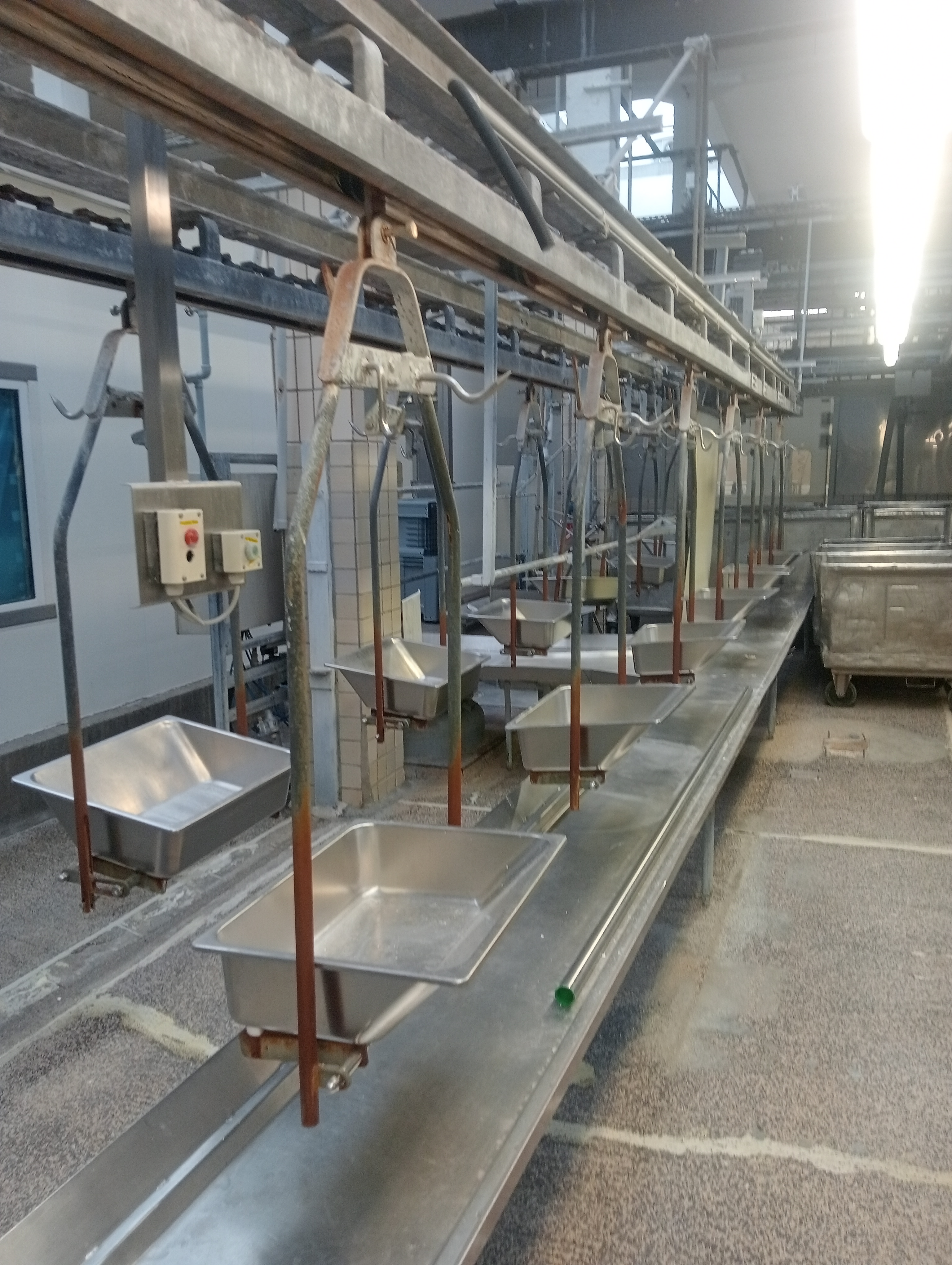 Used Organ conveyor