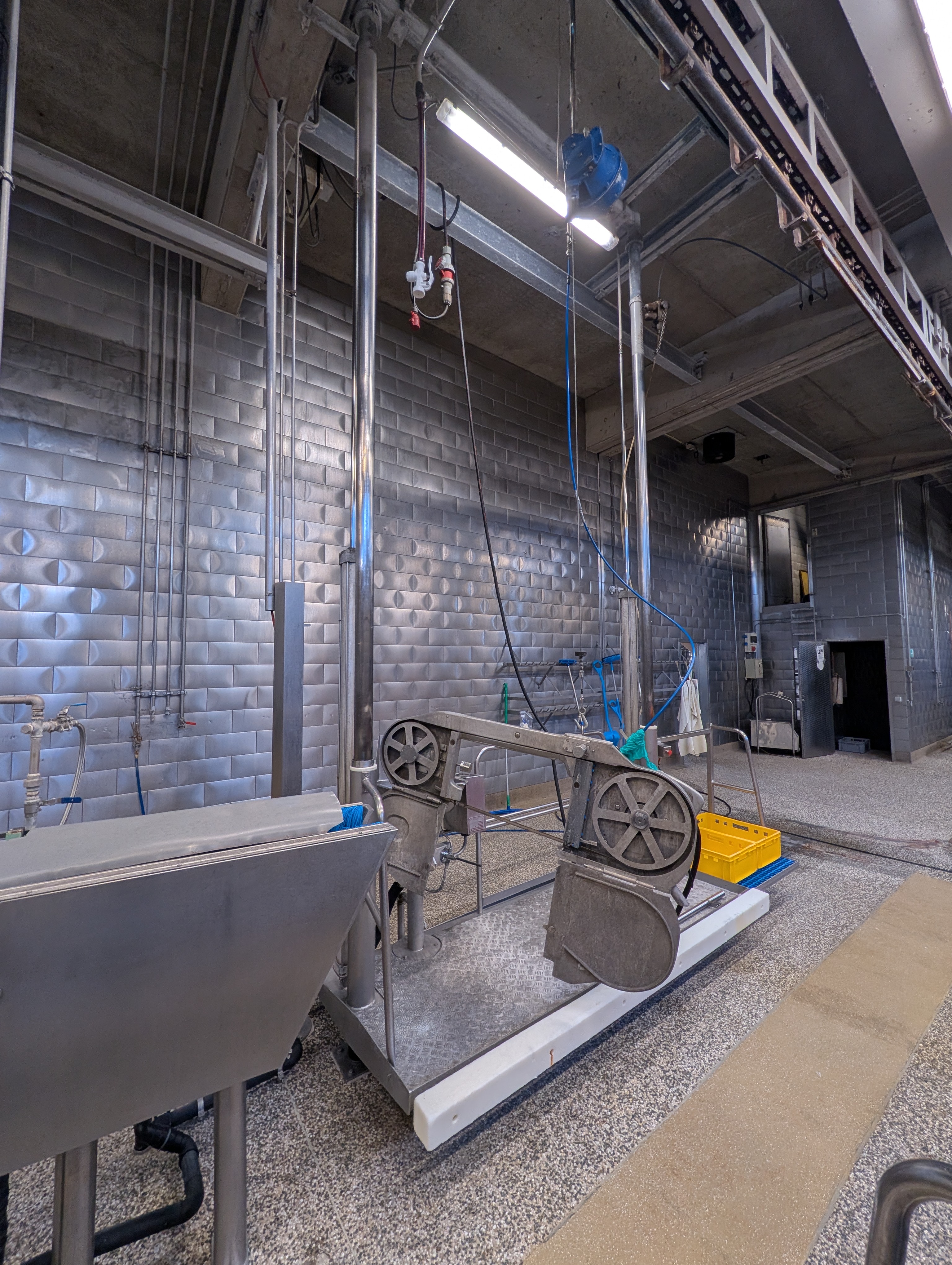 Used 50 cattle per hour slaughterline