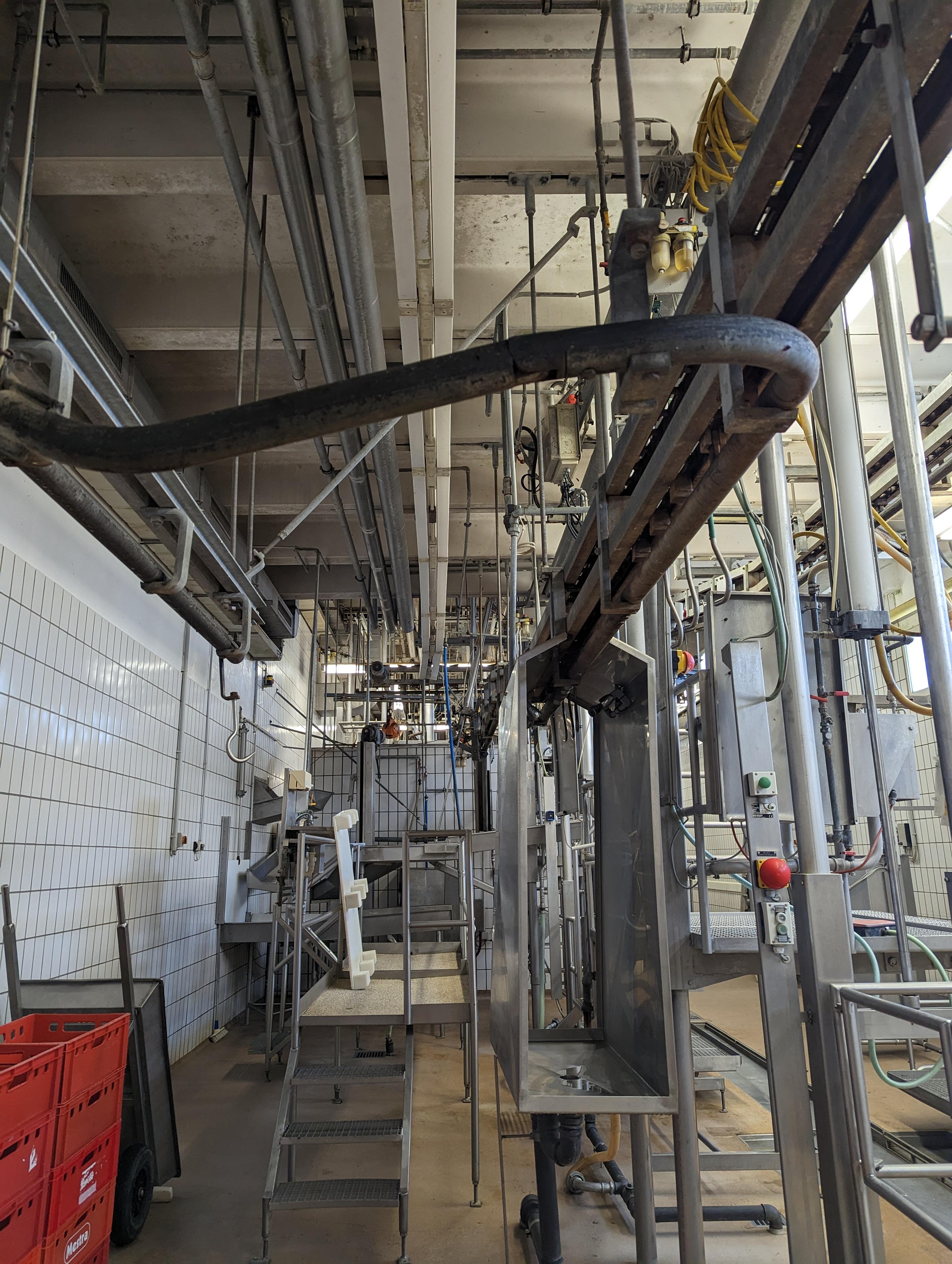 Used Cattle 25 cph - Slaughterline