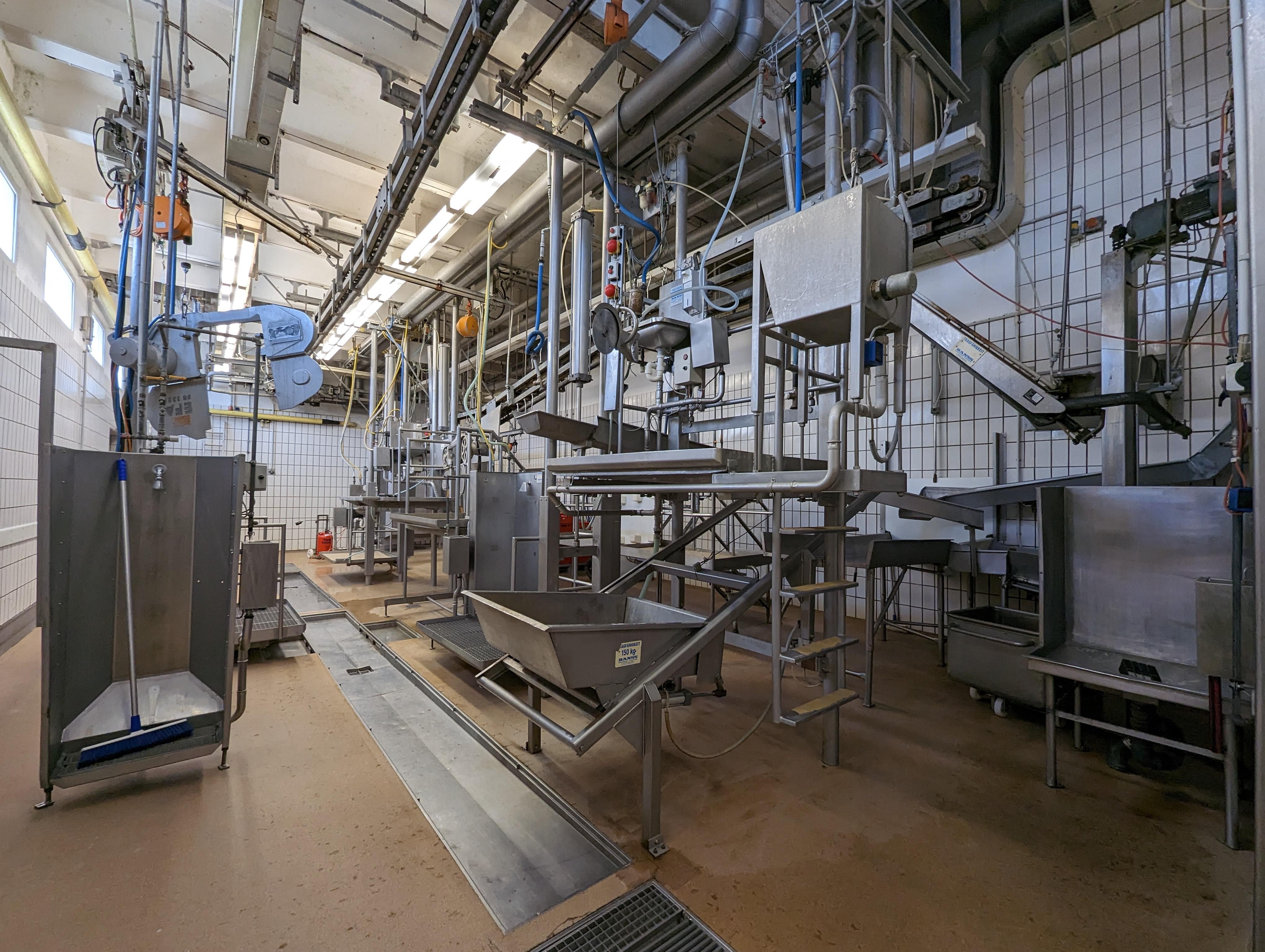 Used Cattle 25 cph - Slaughterline