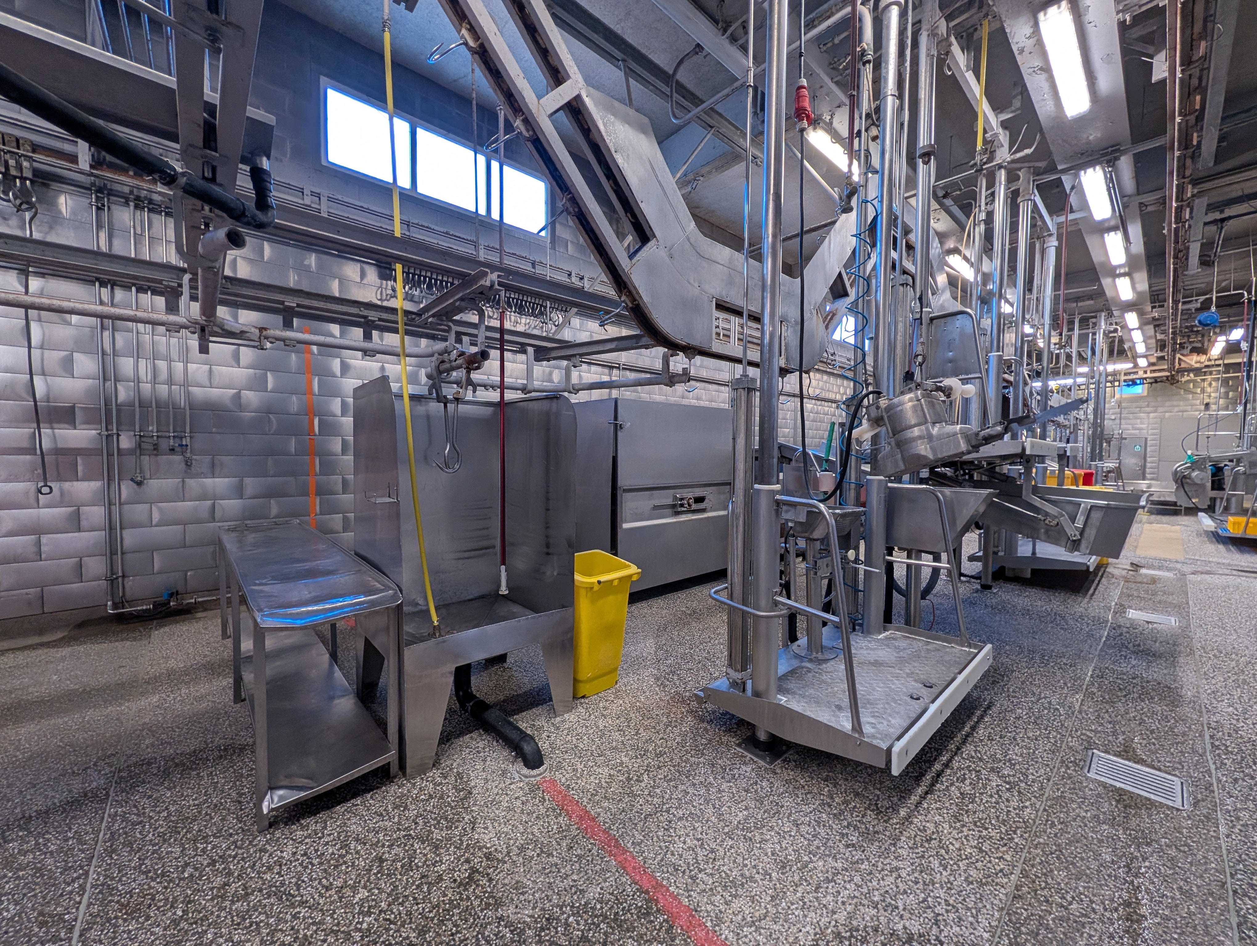 Used 50 cattle per hour slaughterline