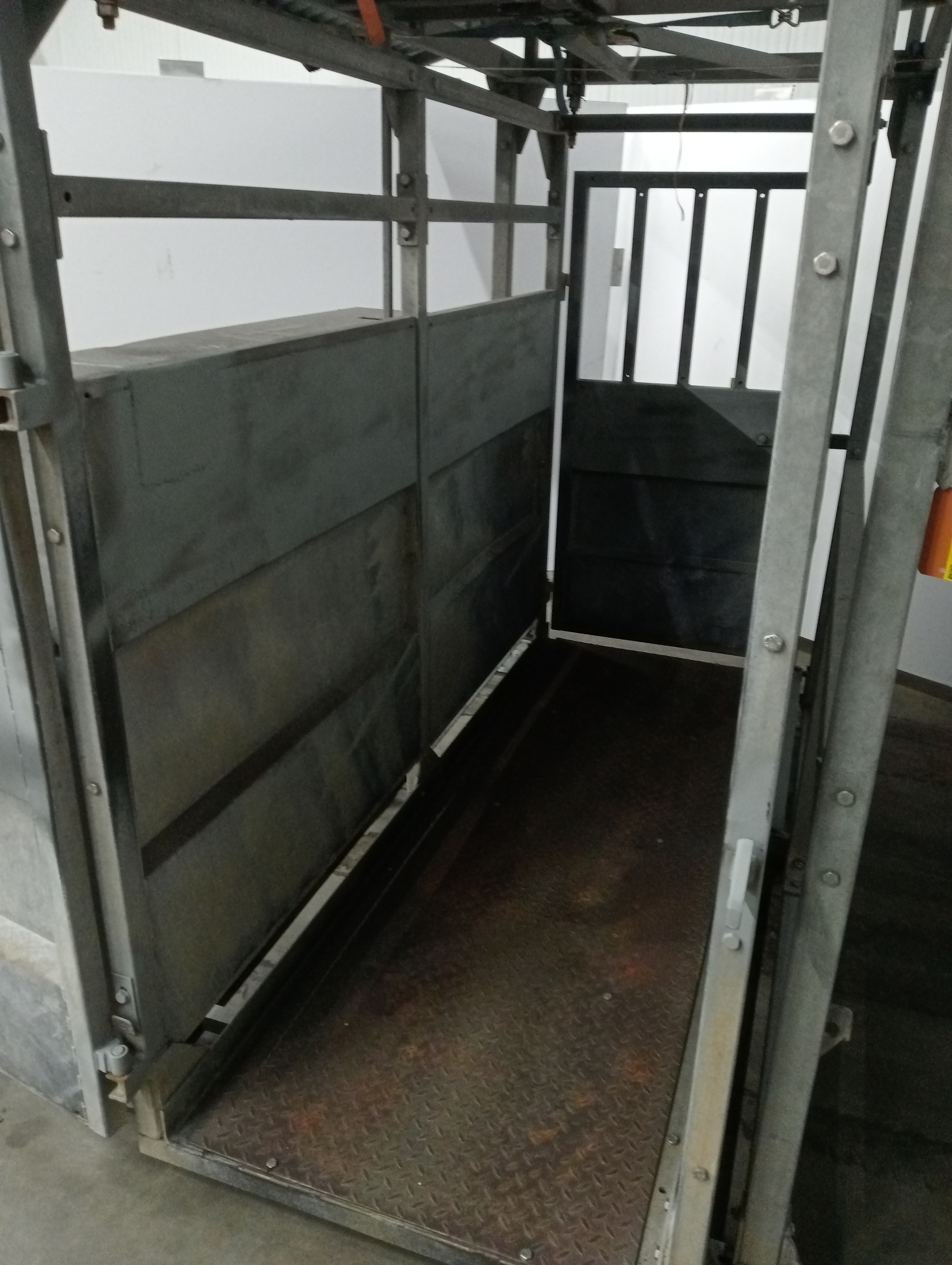 Used Weighing scale for live animals