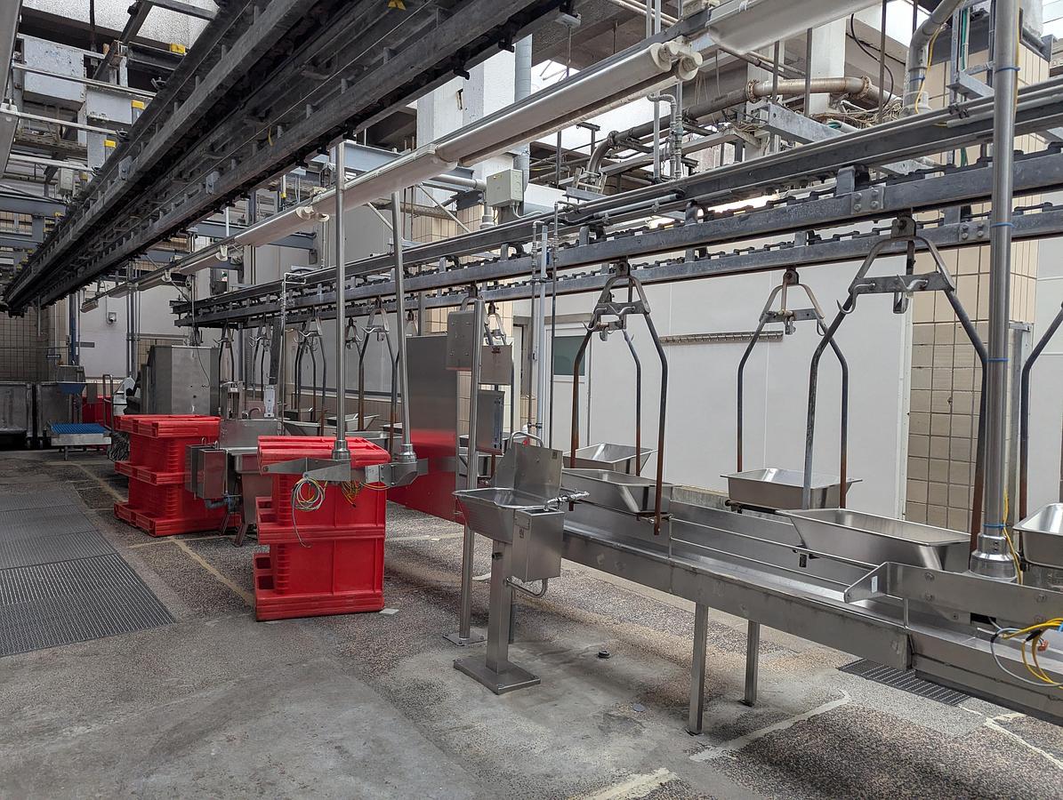 Used Organ conveyor