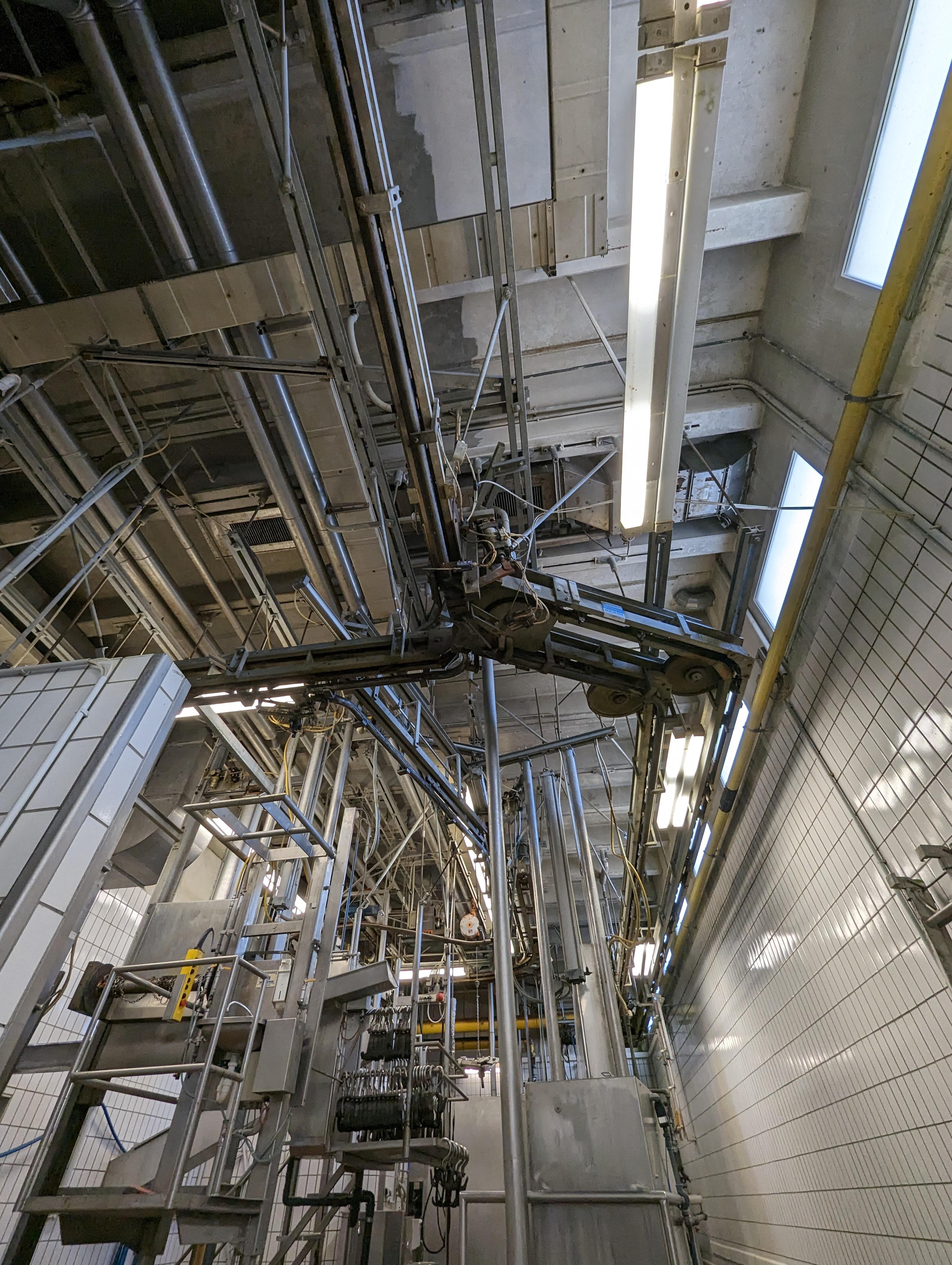 Used Cattle 25 cph - Slaughterline