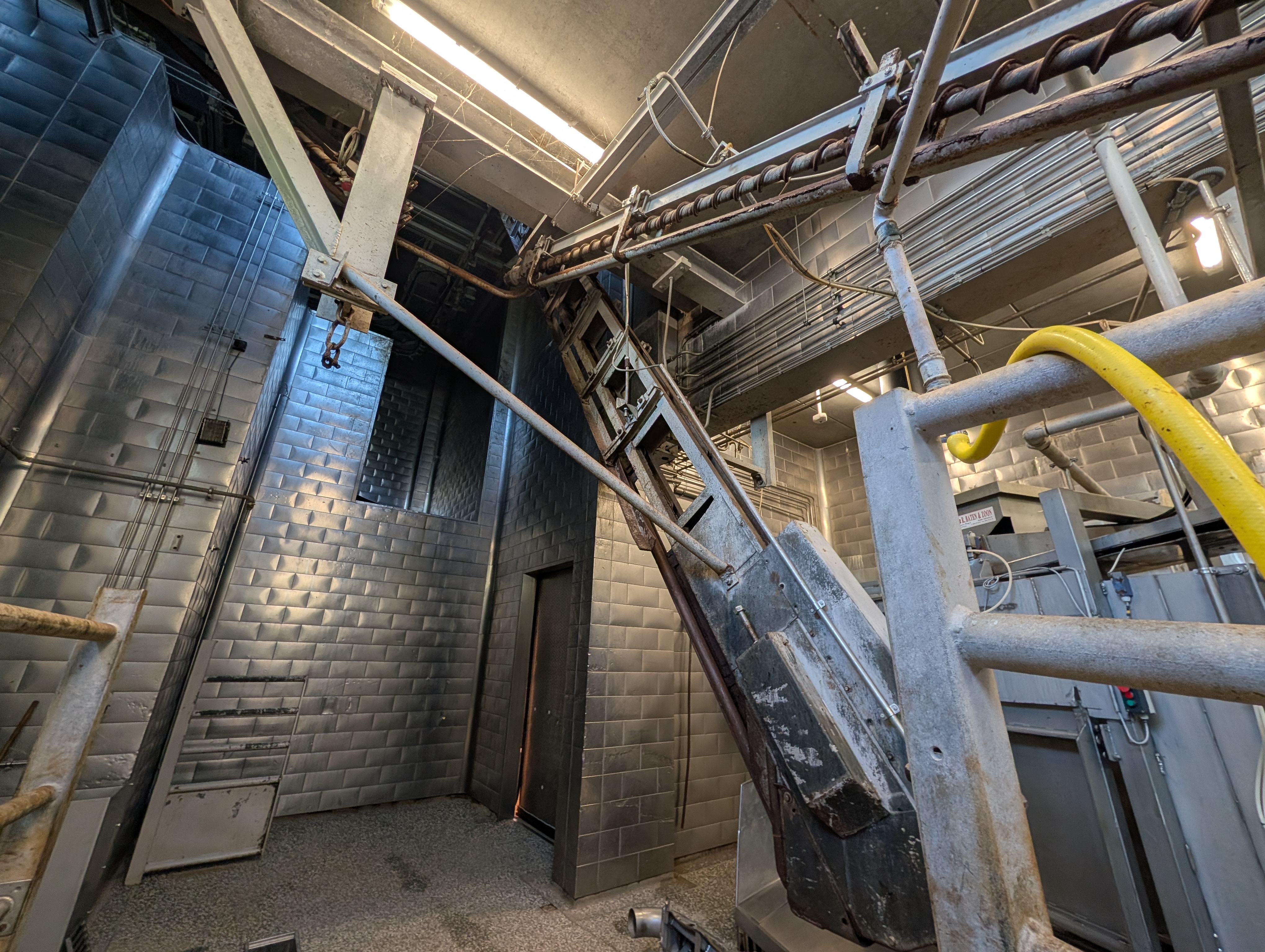 Used 50 cattle per hour slaughterline