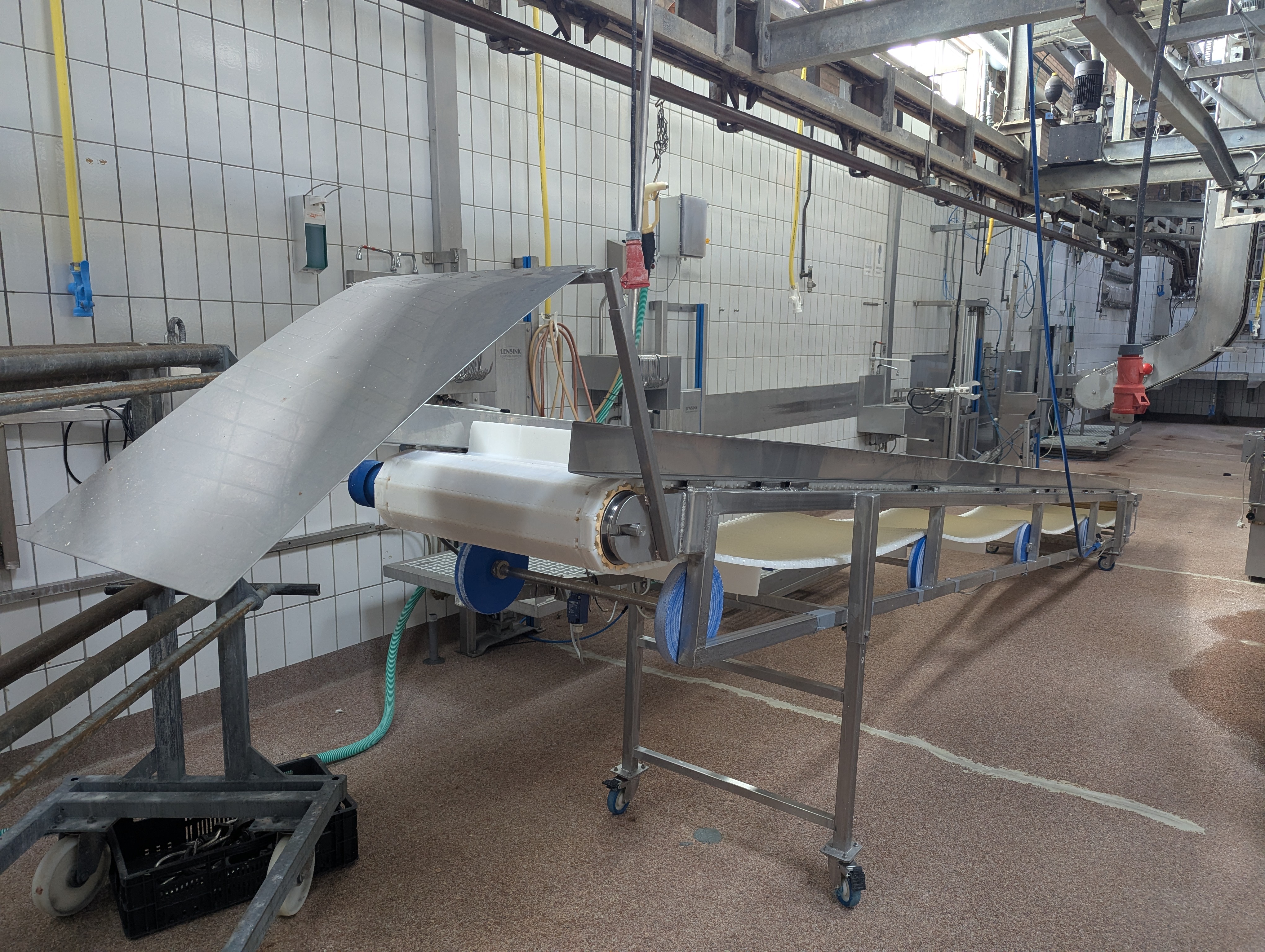 Used Sheep and cattle slaughterline