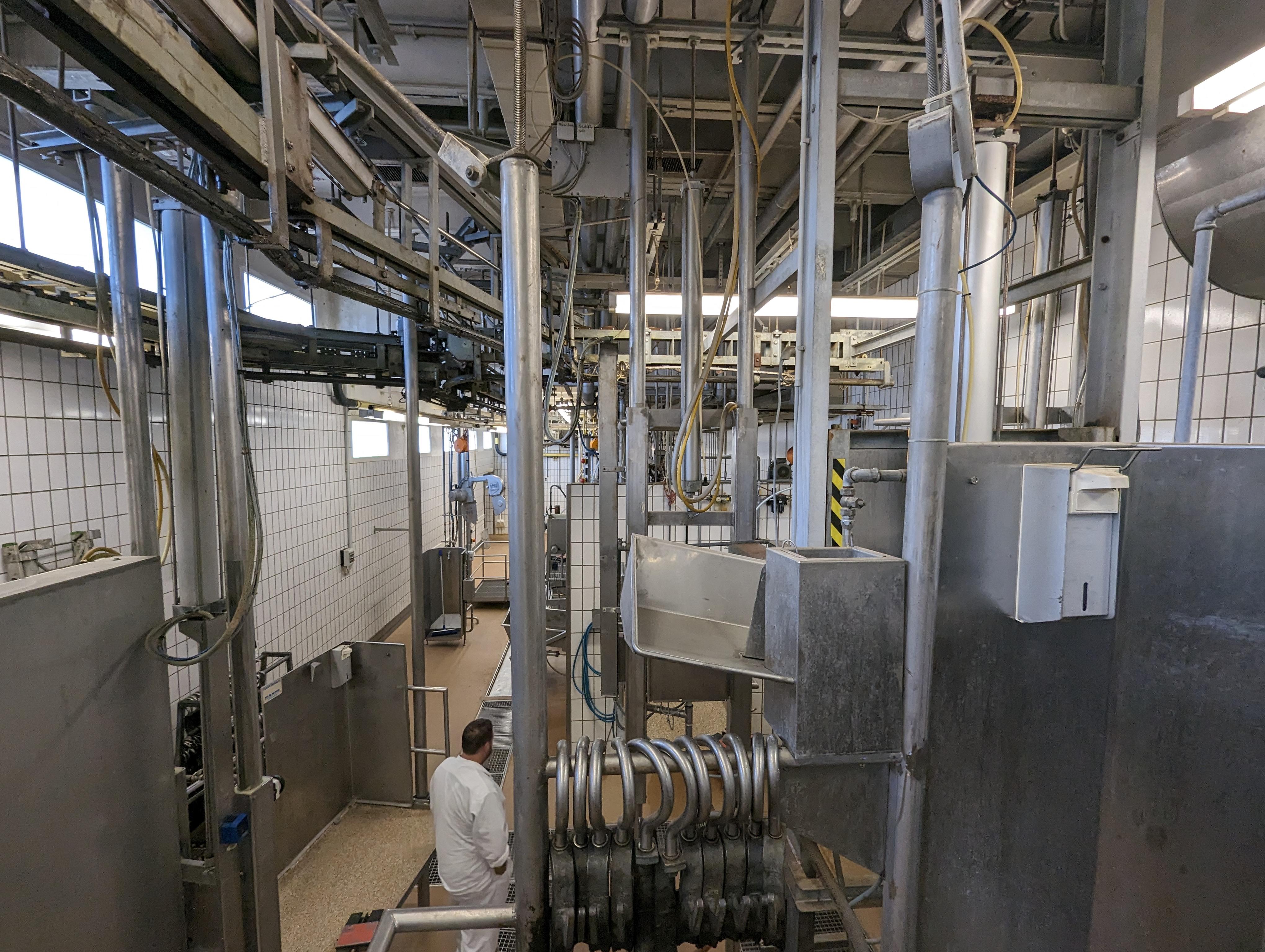 Used Cattle 25 cph - Slaughterline