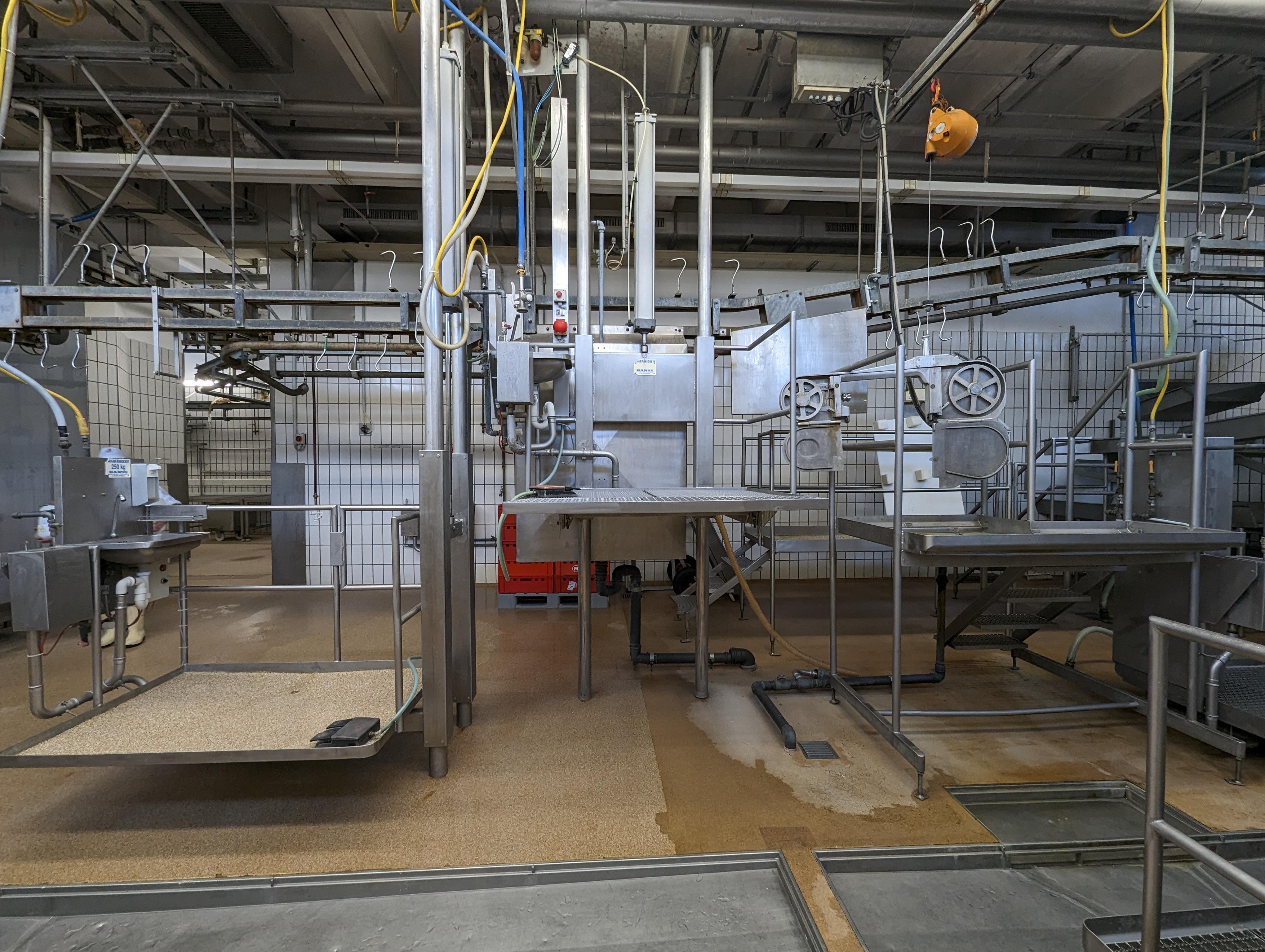 Used Cattle 25 cph - Slaughterline