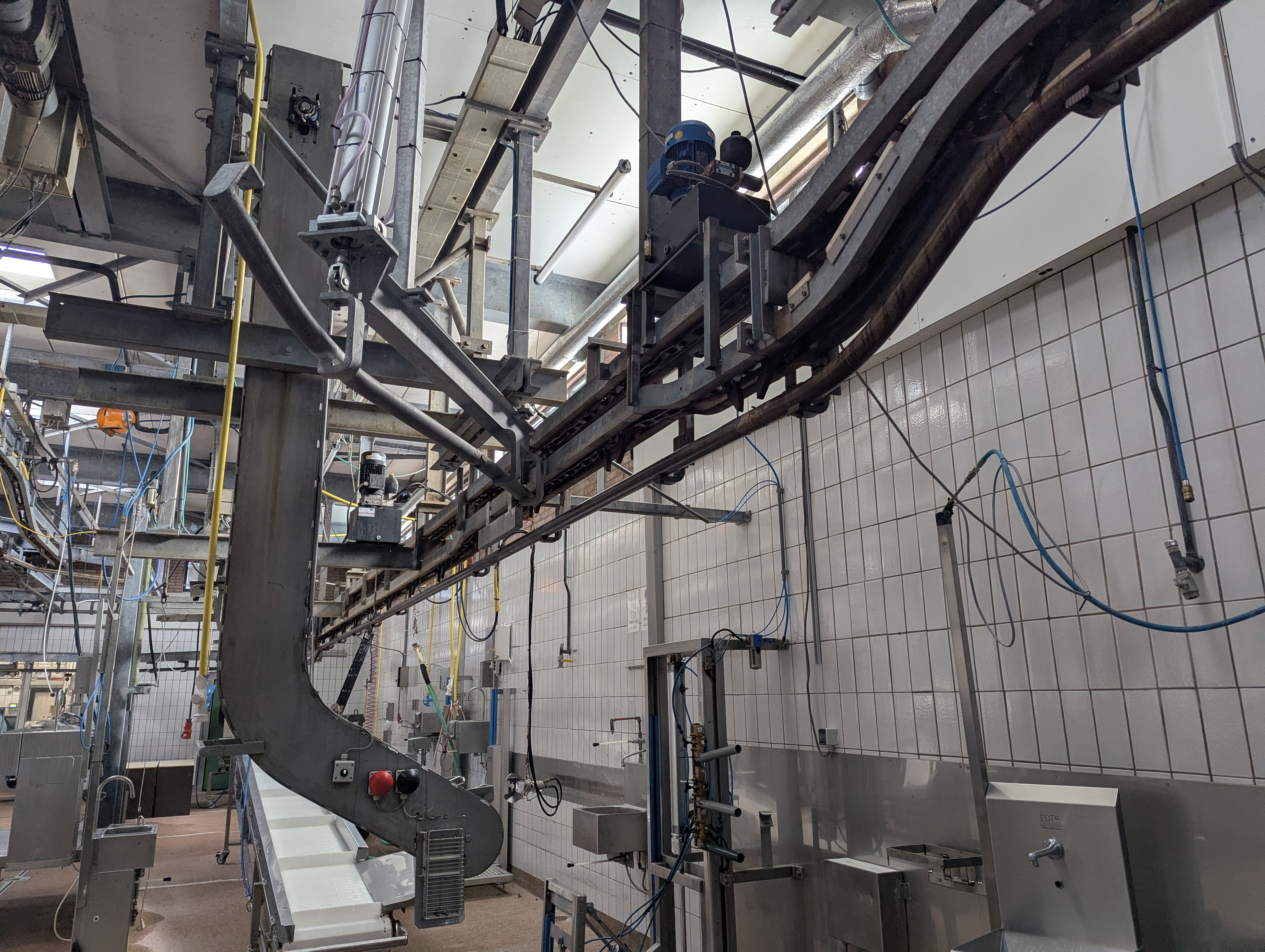 Used Sheep and cattle slaughterline