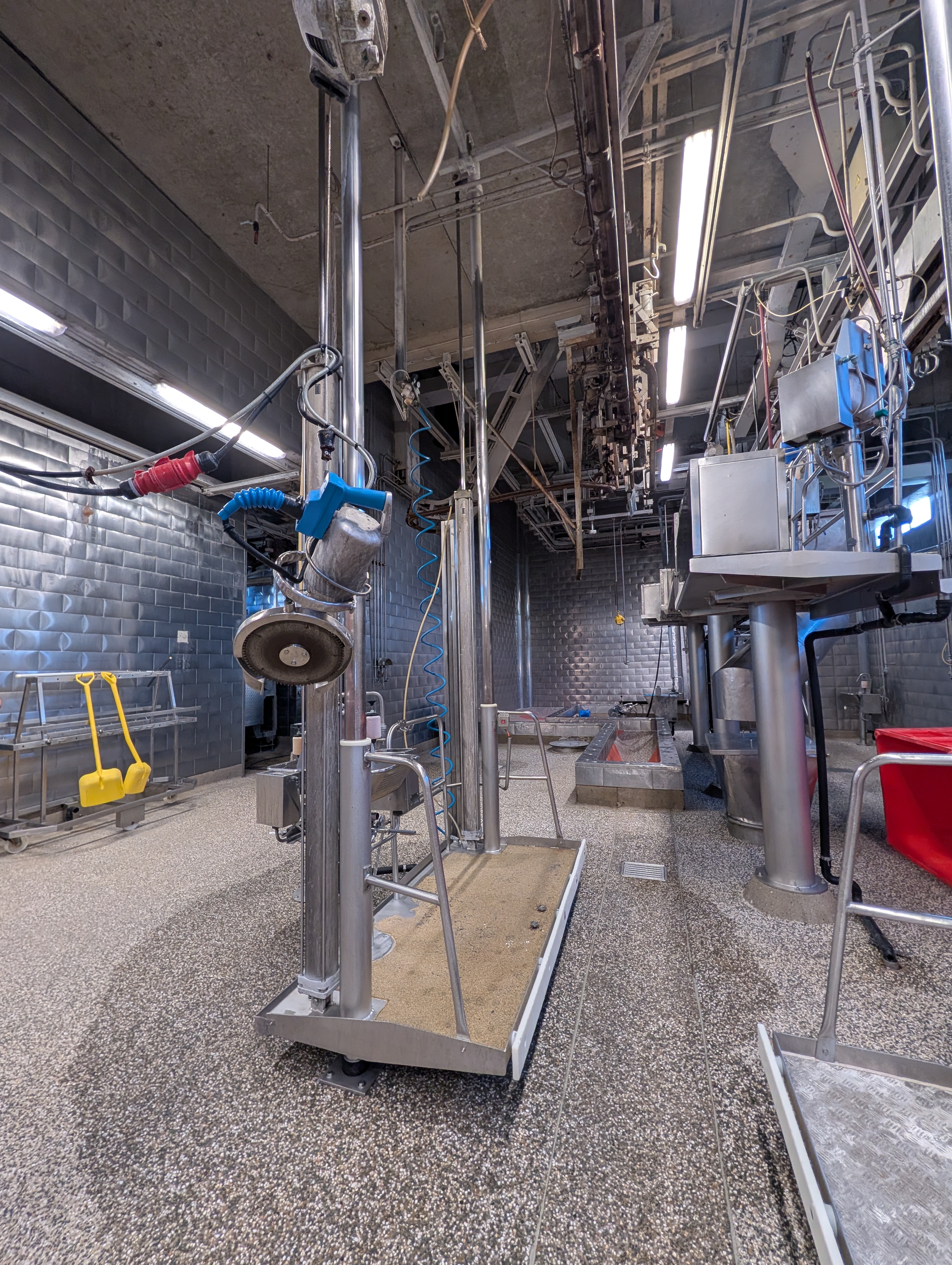 Used 50 cattle per hour slaughterline