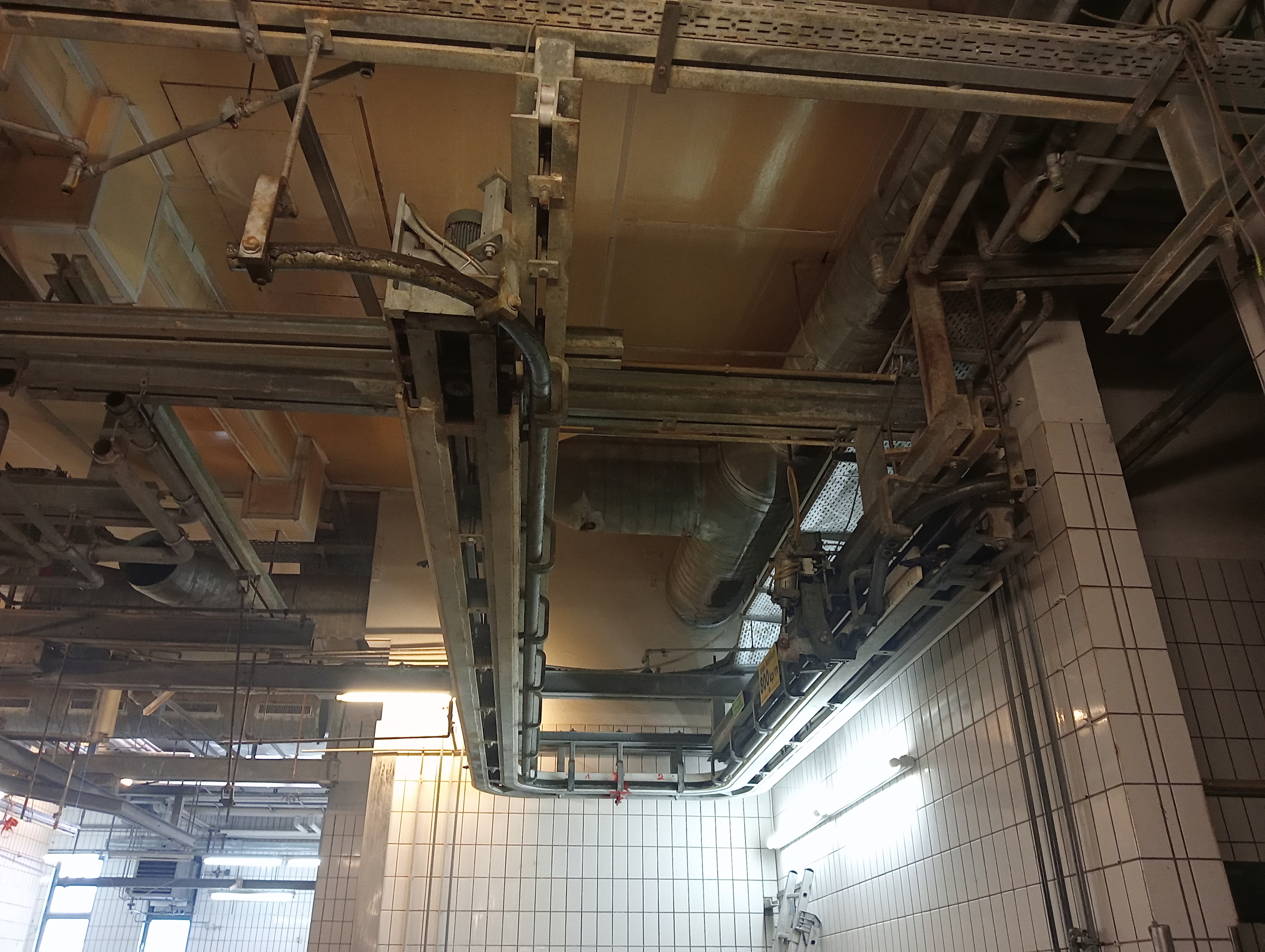 Used Bleeding conveyor