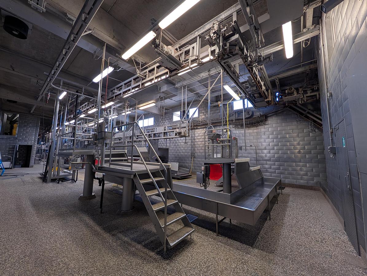 Used 50 cattle per hour slaughterline