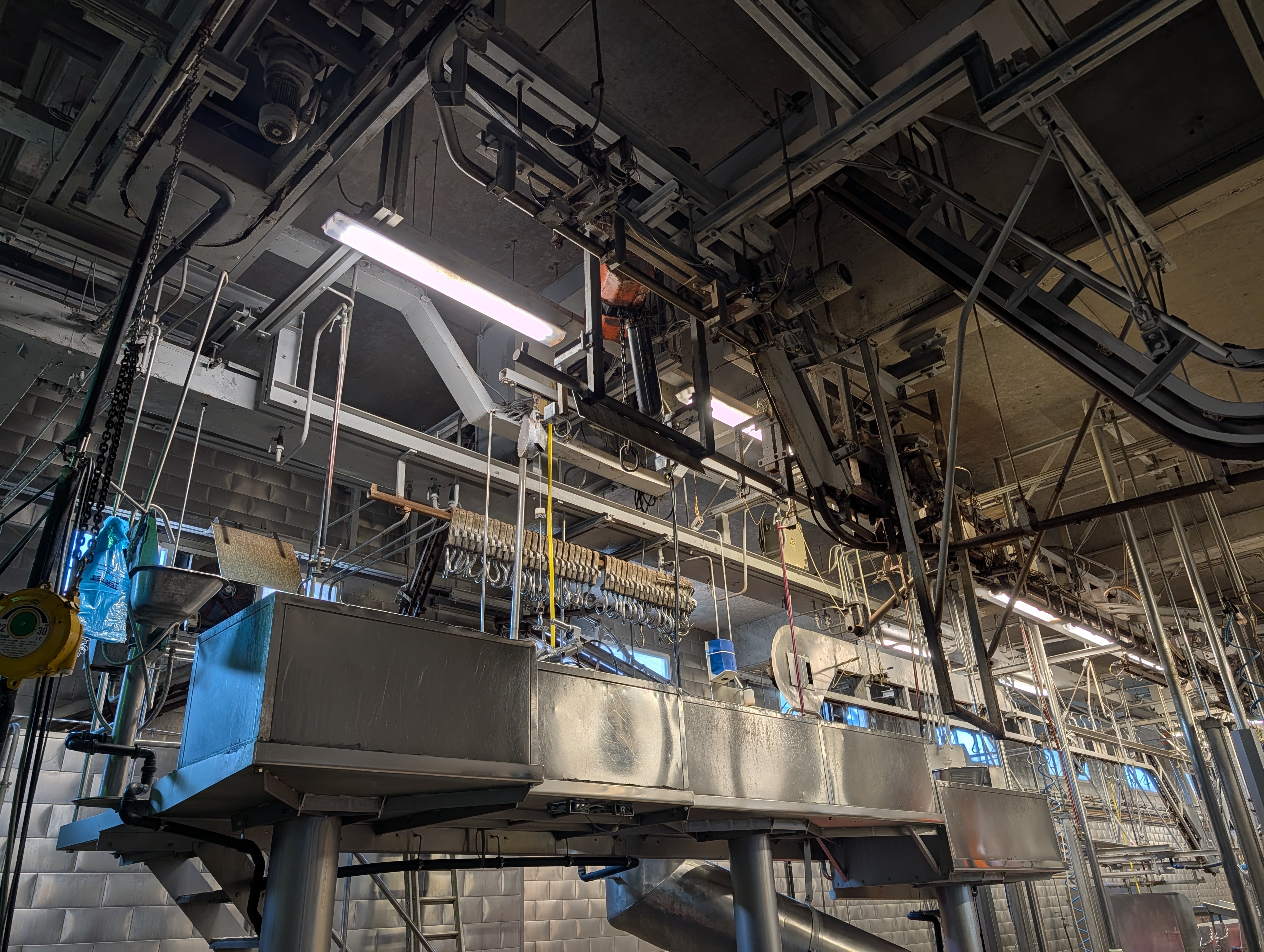 Used 50 cattle per hour slaughterline