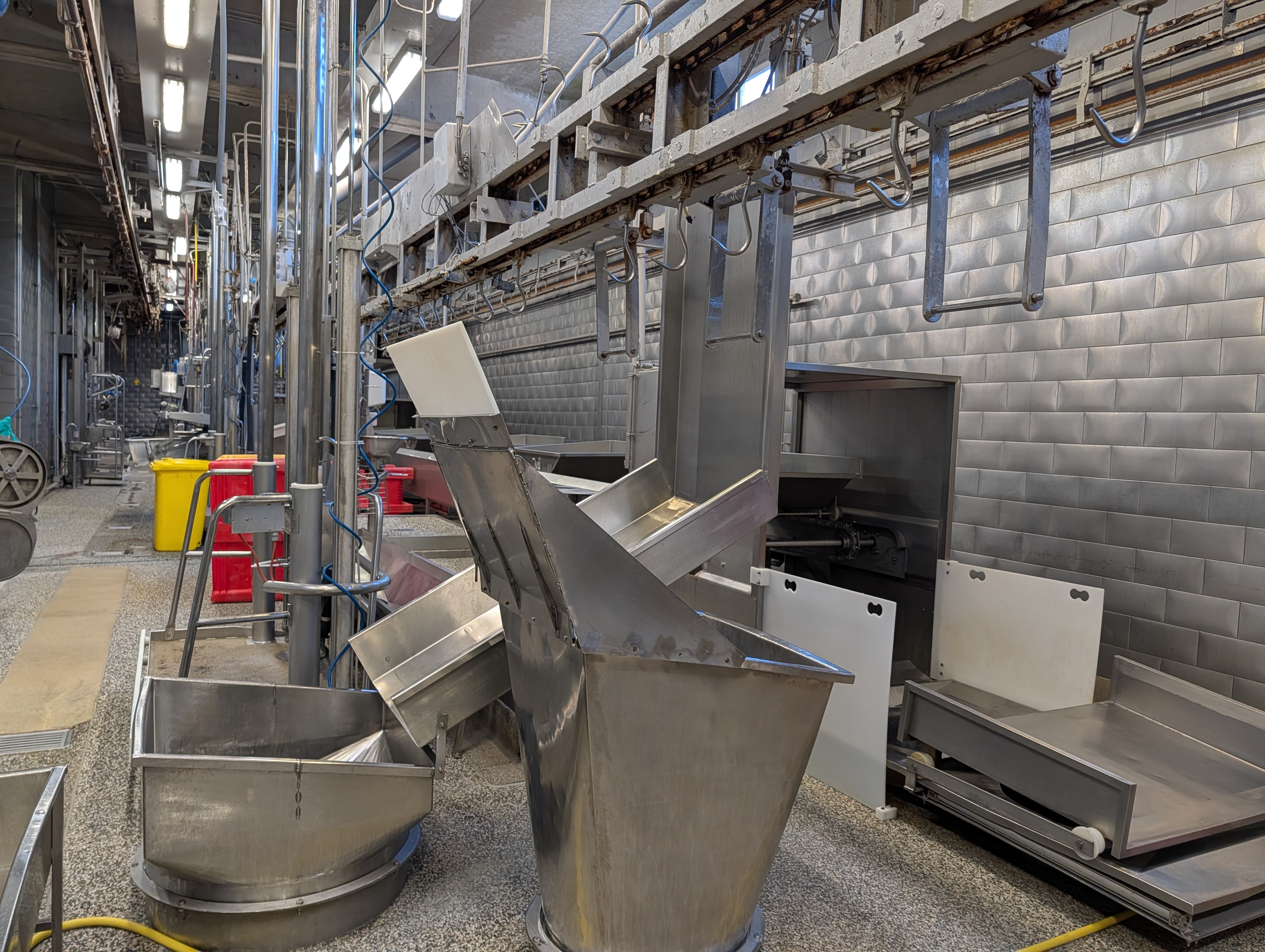 Used 50 cattle per hour slaughterline