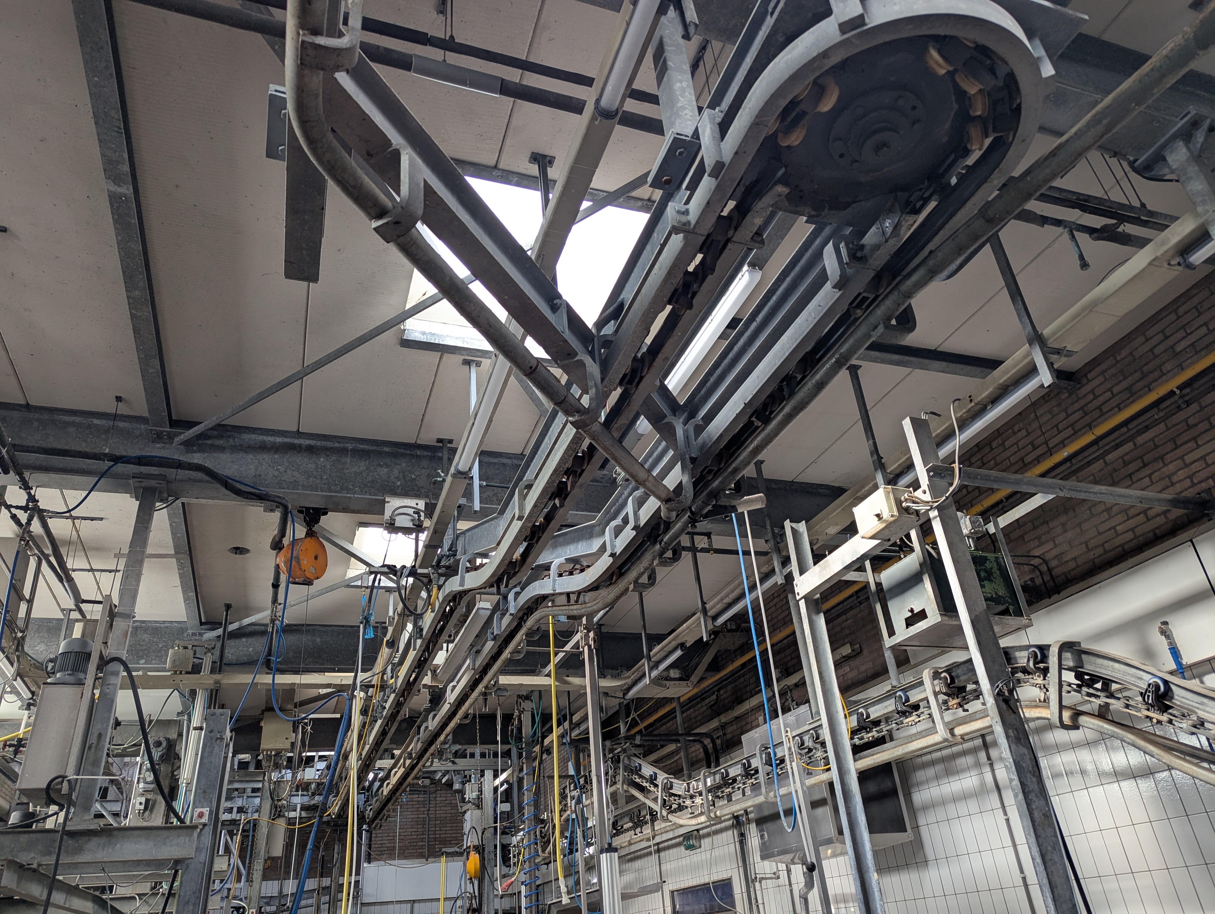 Used Sheep and cattle slaughterline