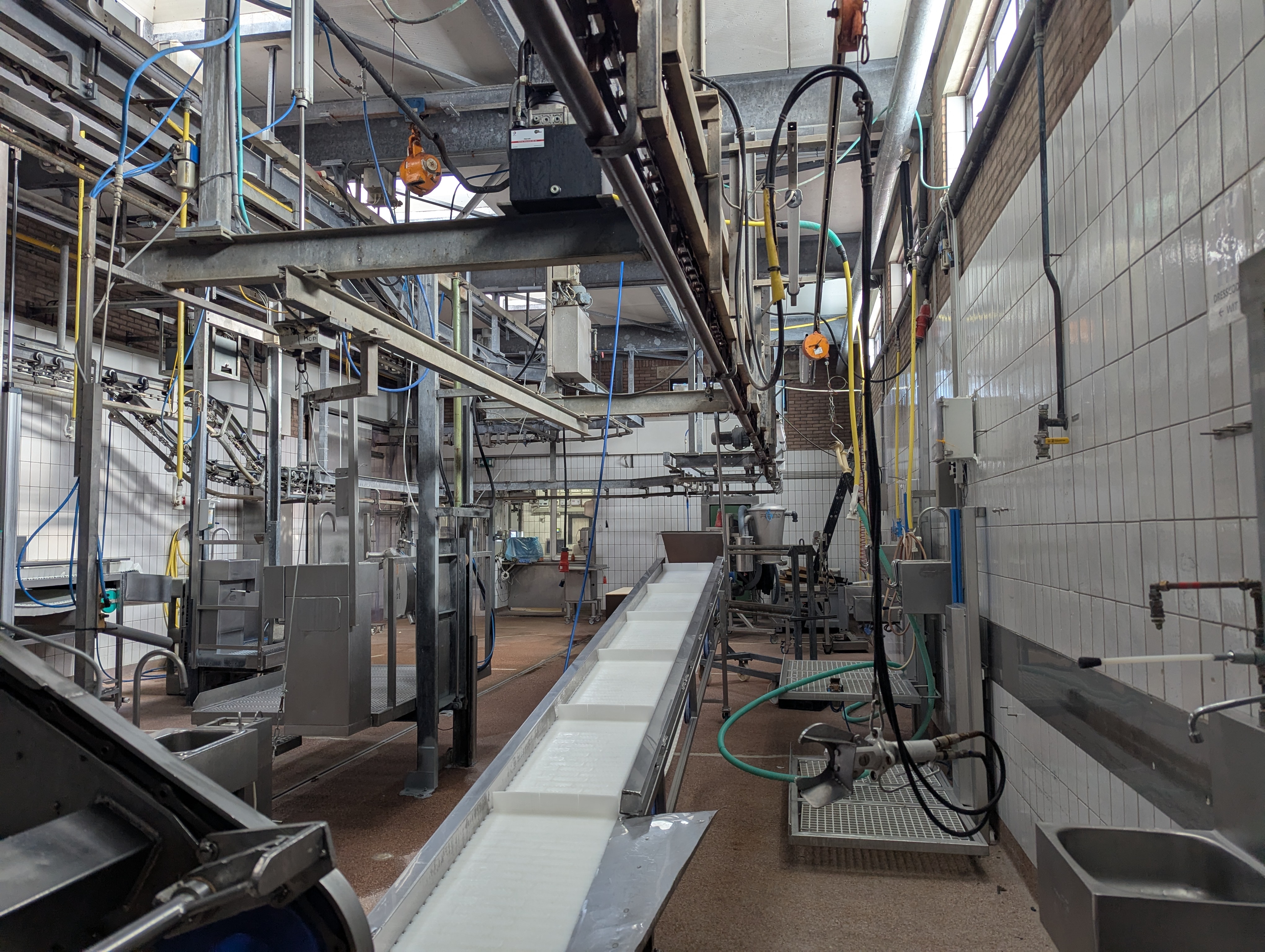 Used Sheep and cattle slaughterline