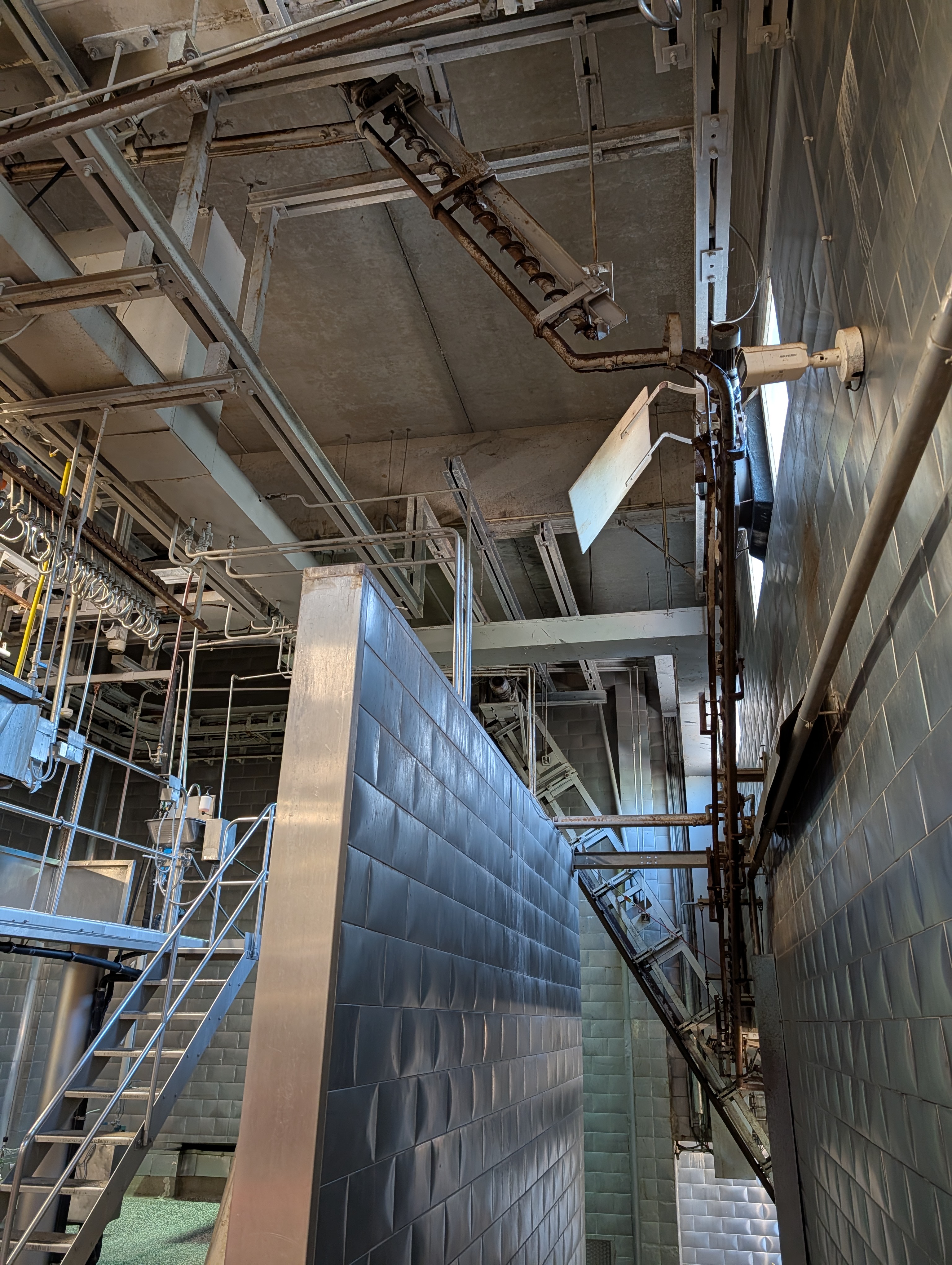 Used 50 cattle per hour slaughterline