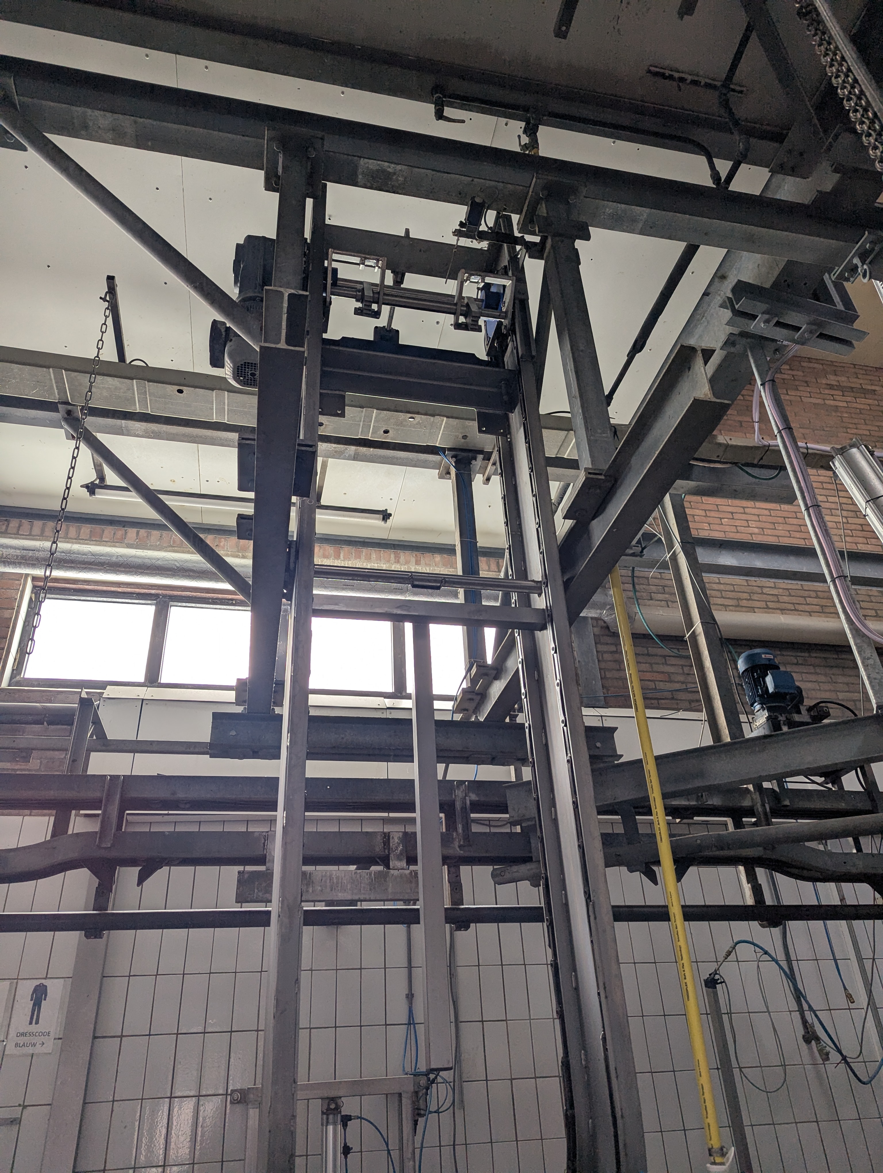 Used Sheep and cattle slaughterline