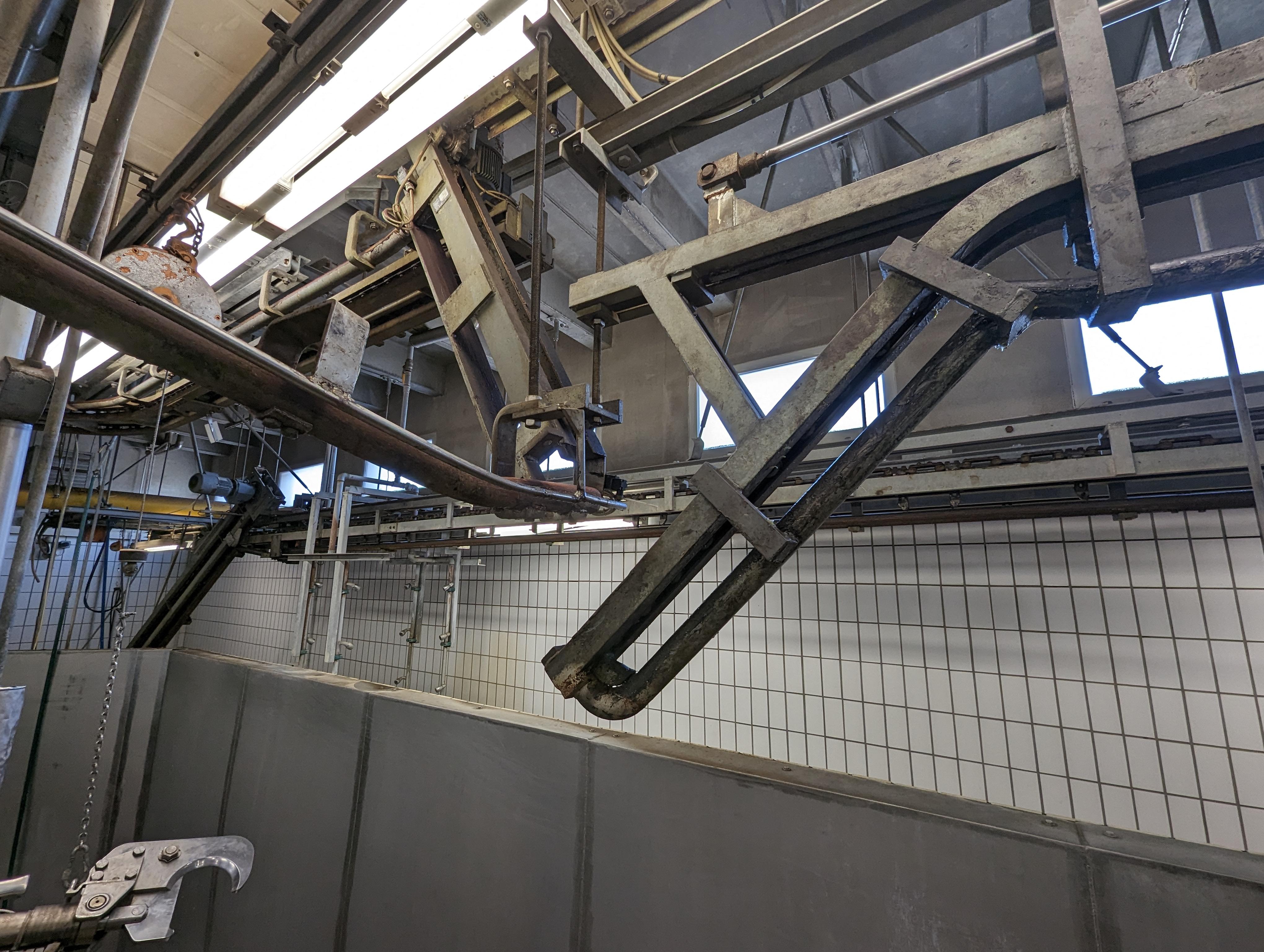 Used Cattle 25 cph - Slaughterline