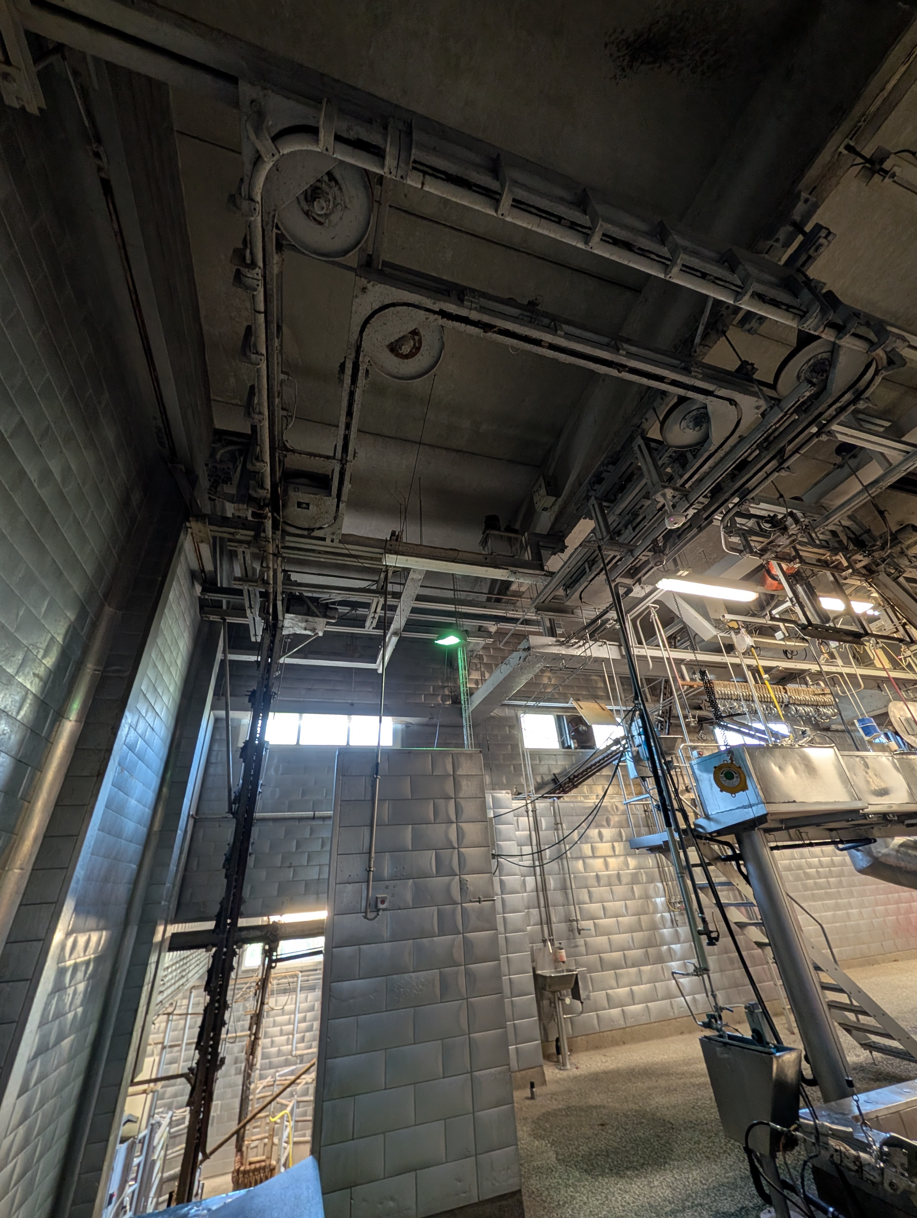 Used 50 cattle per hour slaughterline