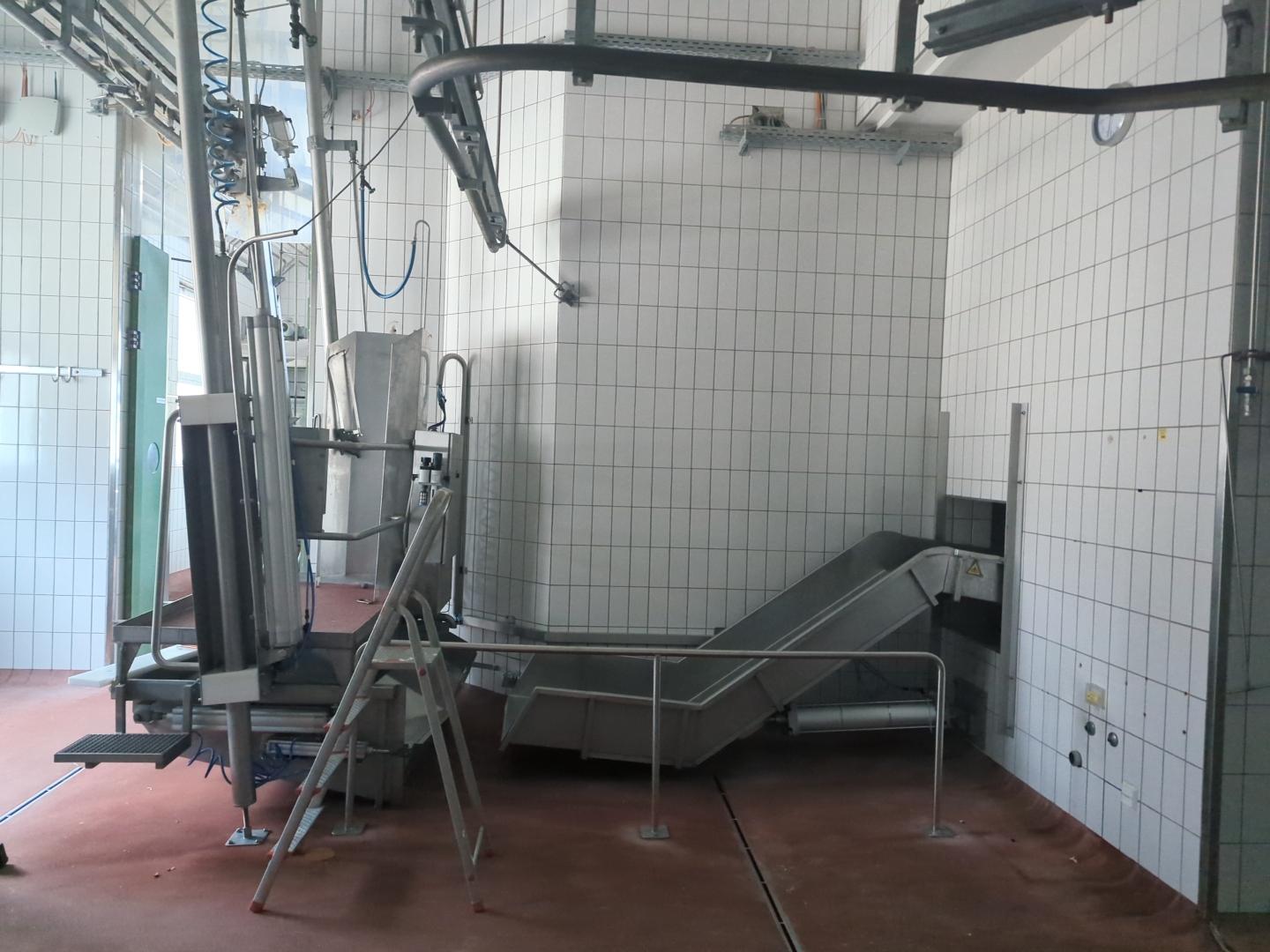 Used Pork and cattle 60 pph or 10 cph - Slaughterhouse