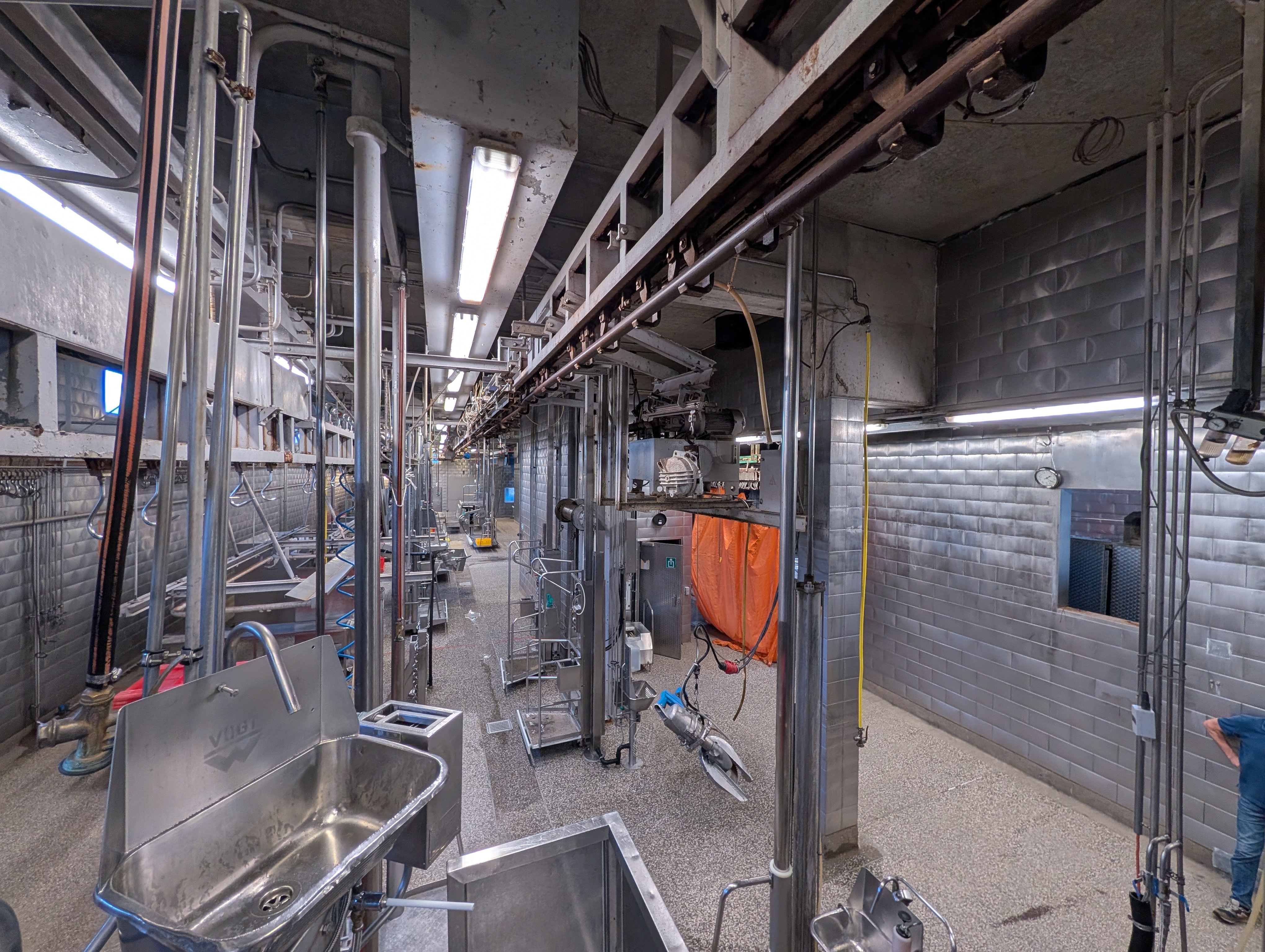 Used 50 cattle per hour slaughterline