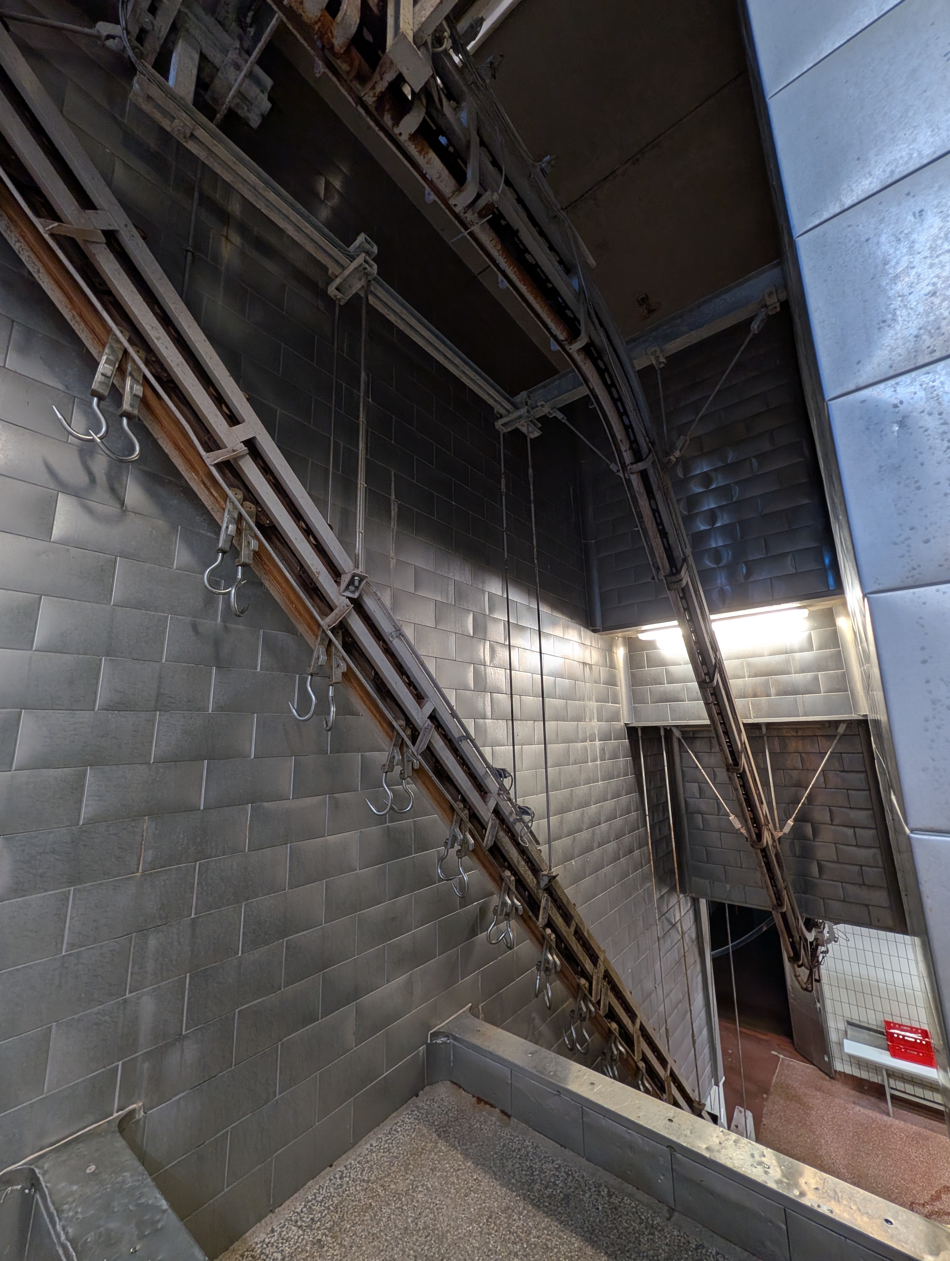 Used 50 cattle per hour slaughterline