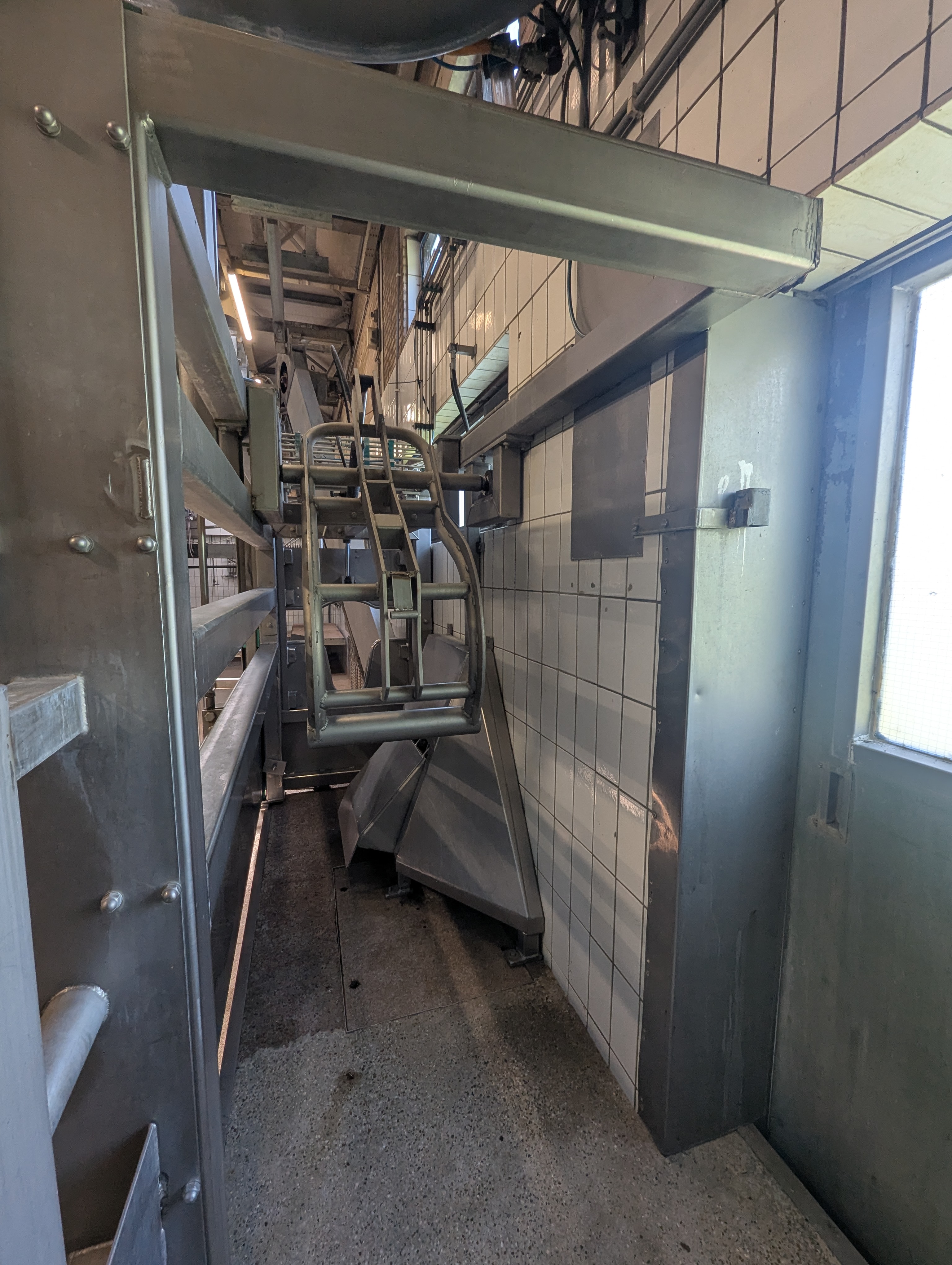 Used Sheep and cattle slaughterline