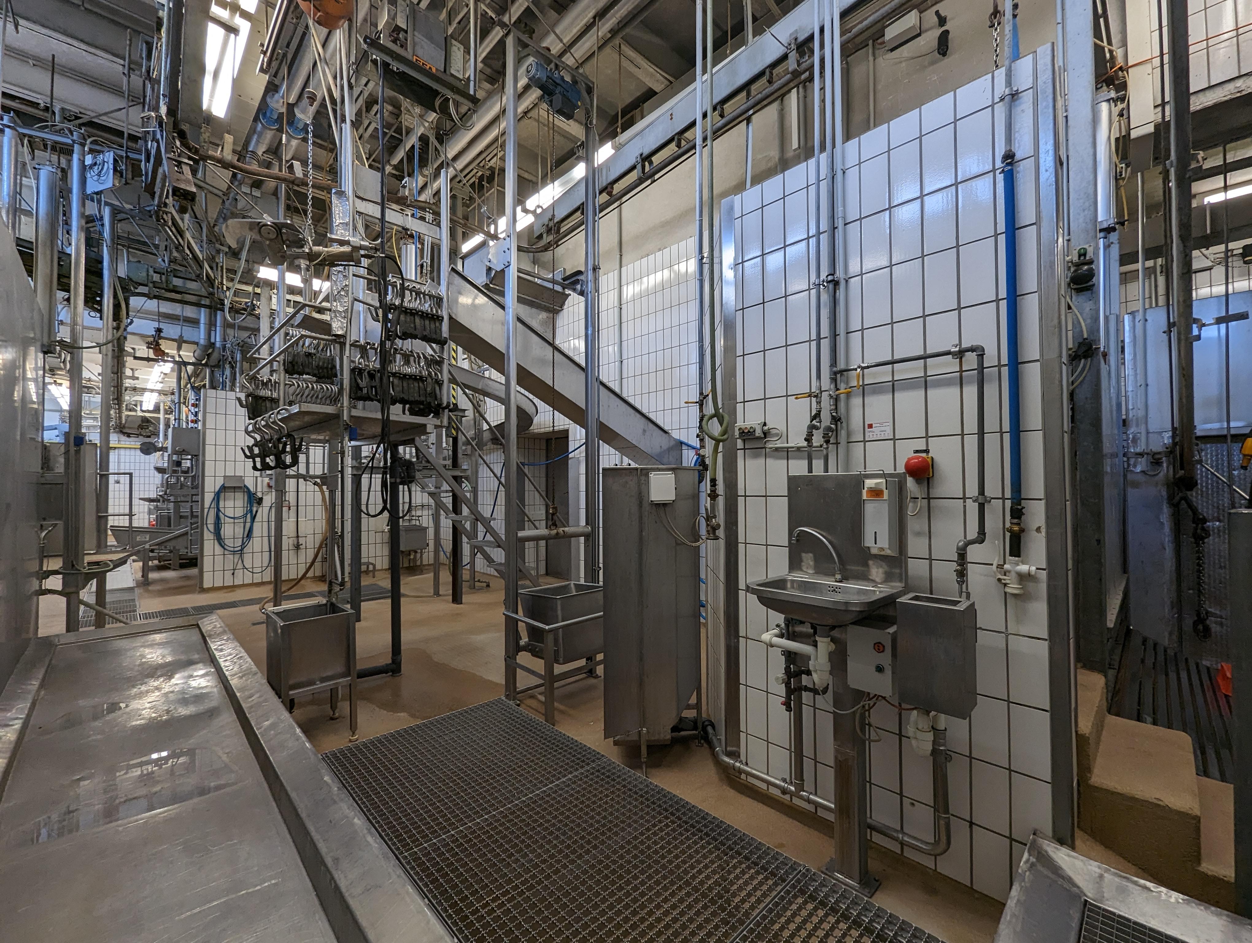 Used Cattle 25 cph - Slaughterline