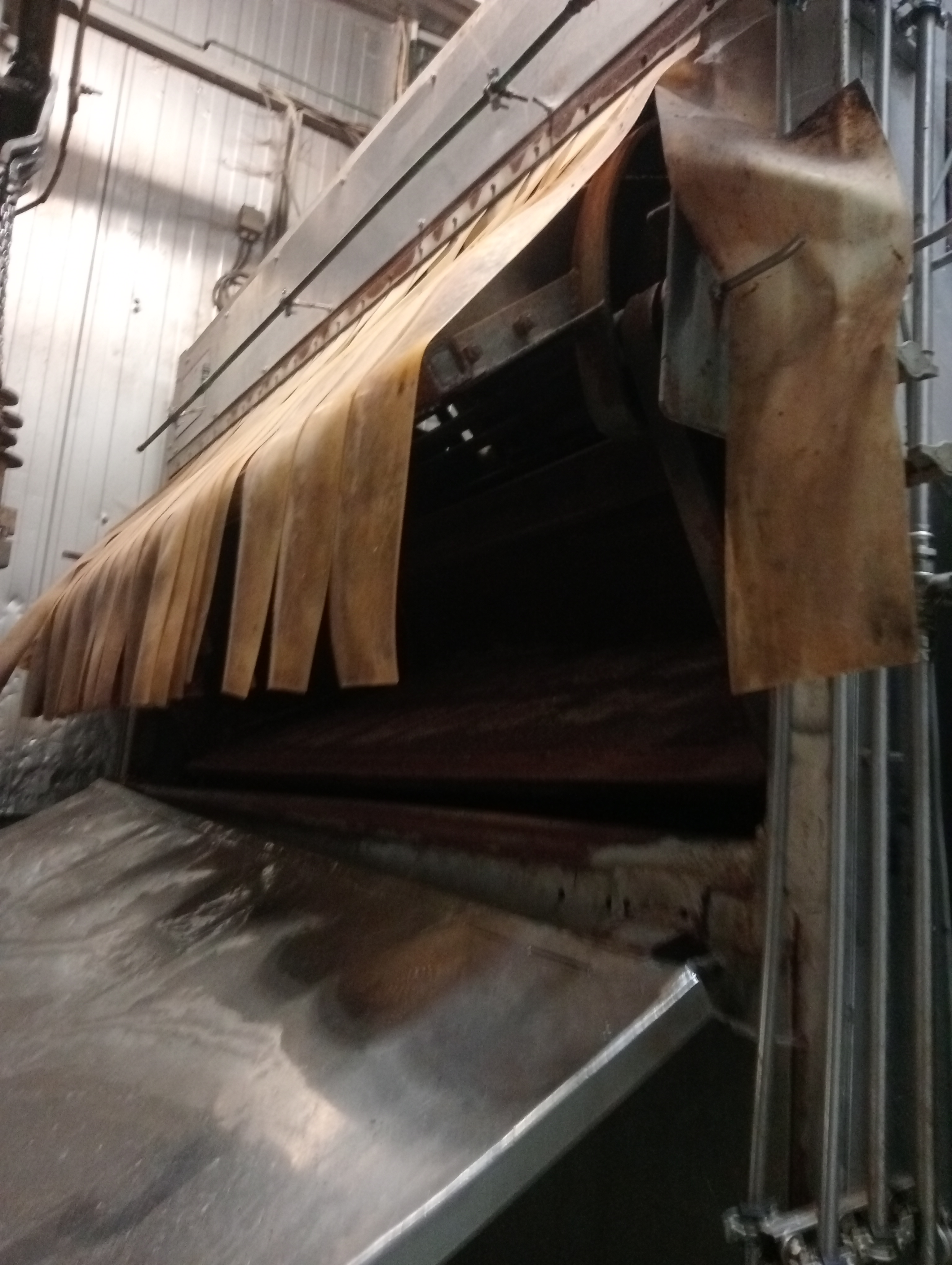 Used Butina CO2 stunner