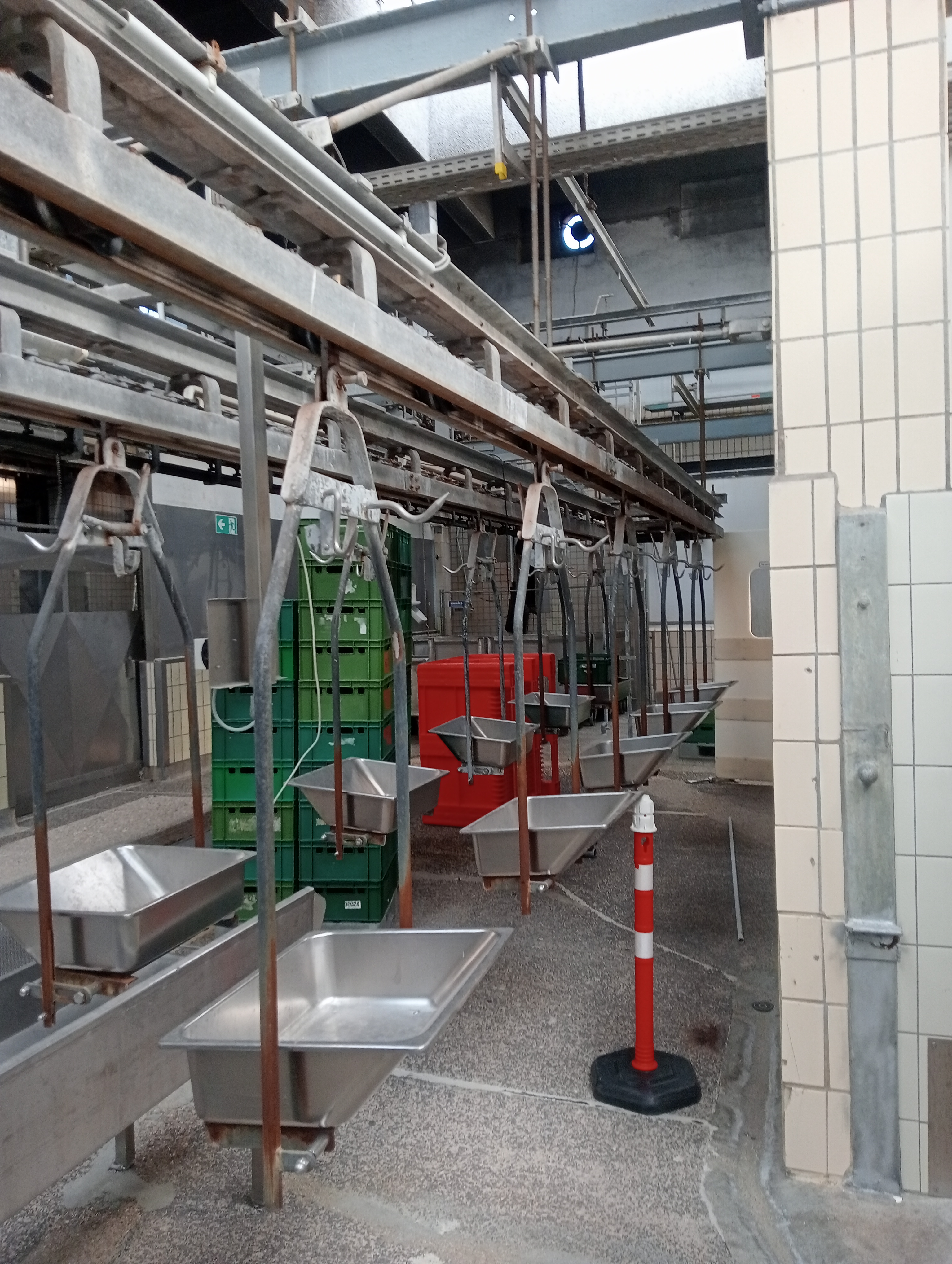 Used Organ conveyor