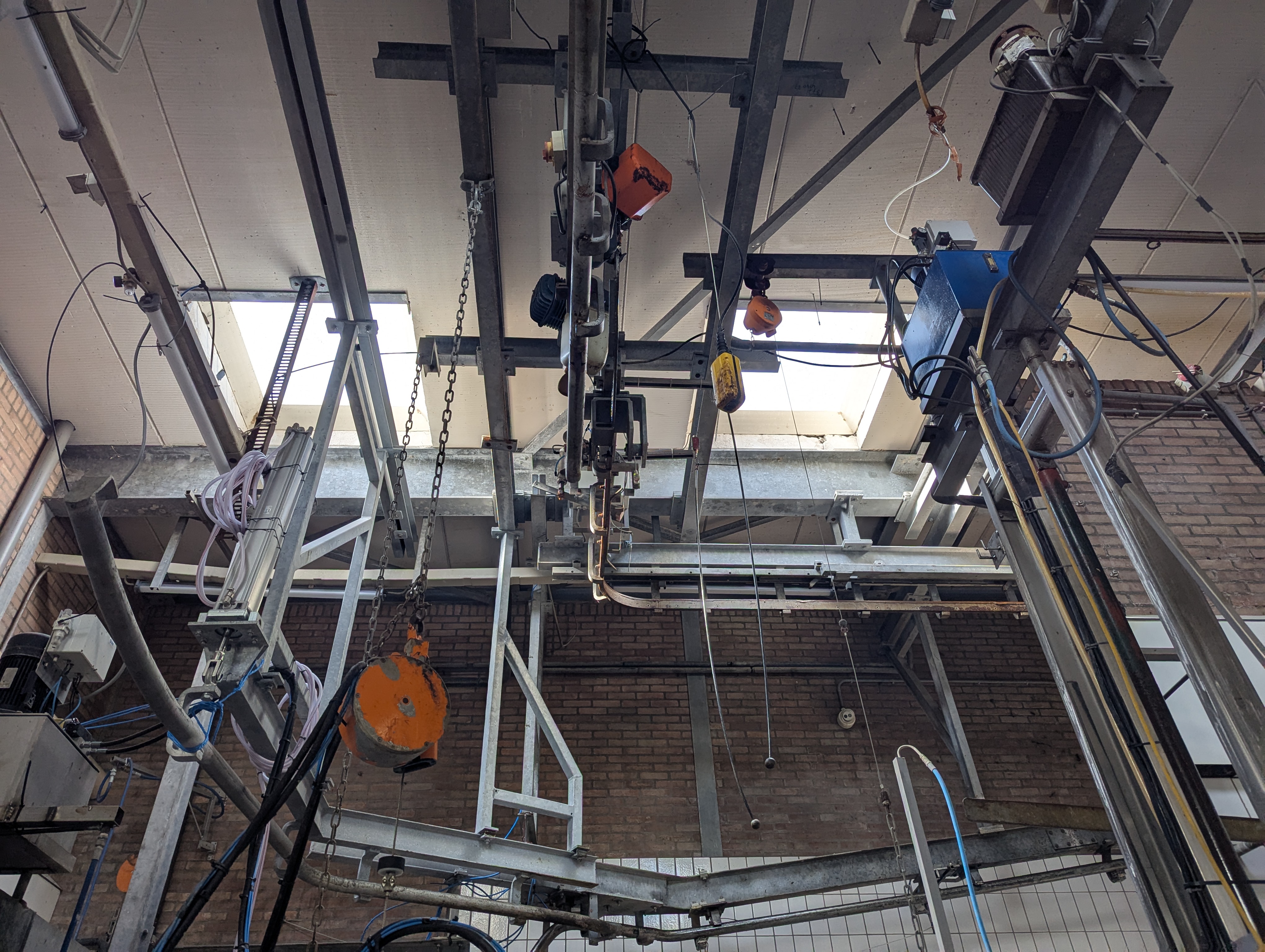 Used Sheep and cattle slaughterline