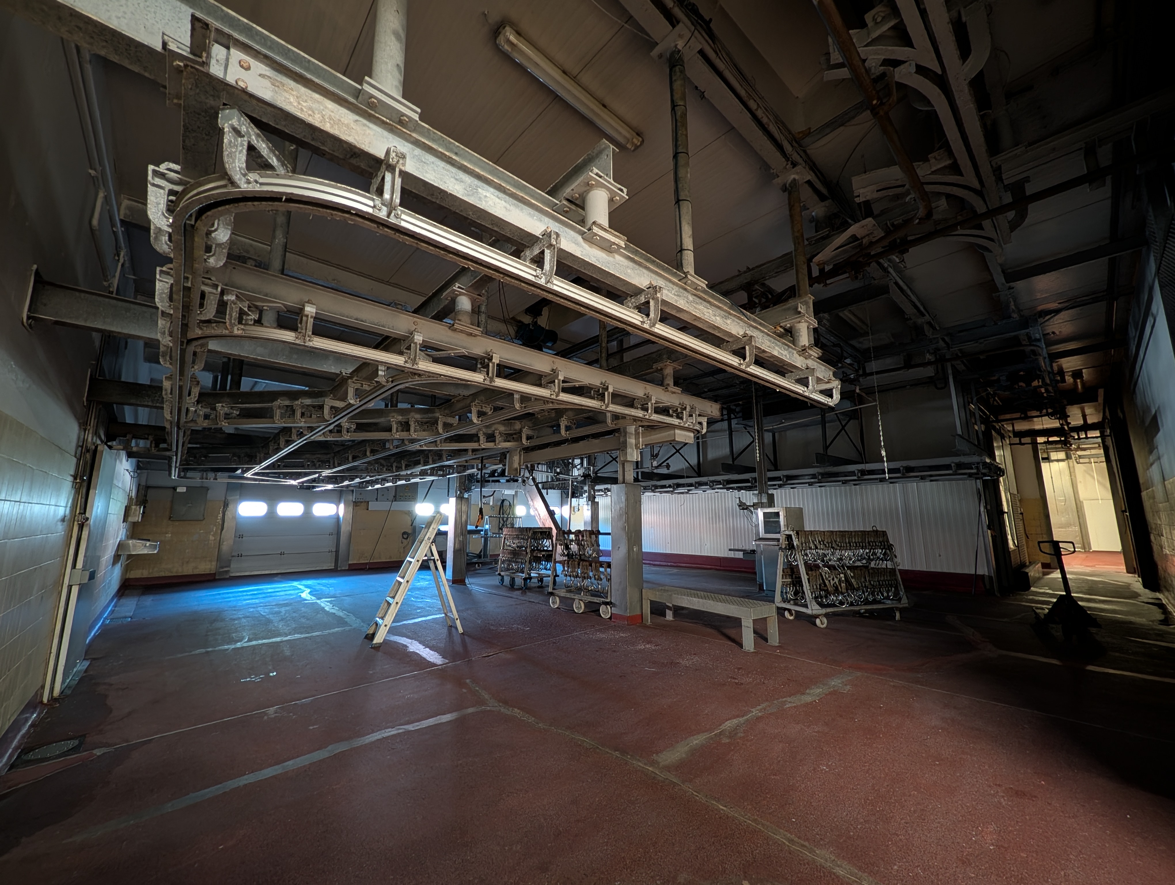 Used 50 cattle per hour slaughterline