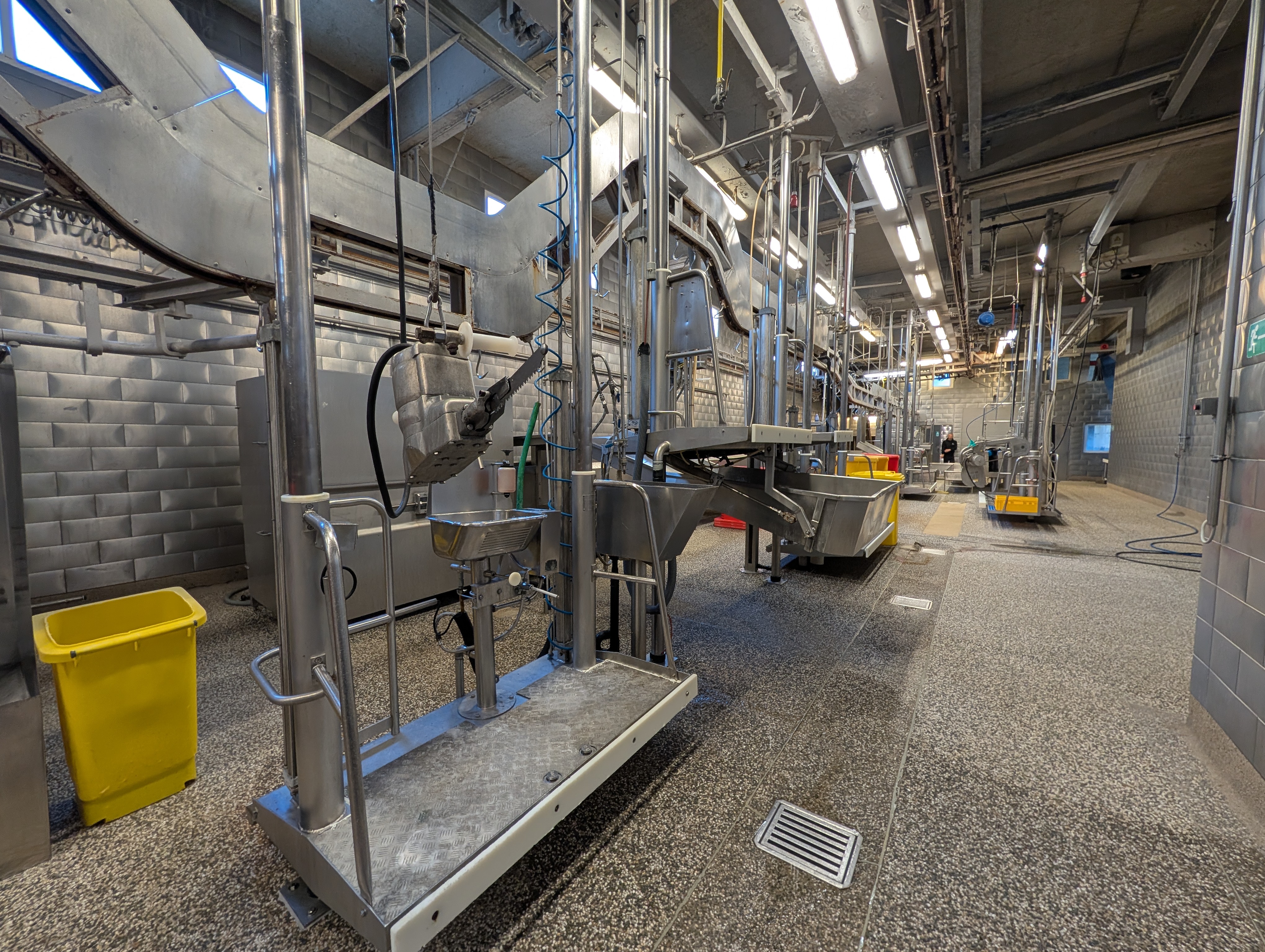 Used 50 cattle per hour slaughterline