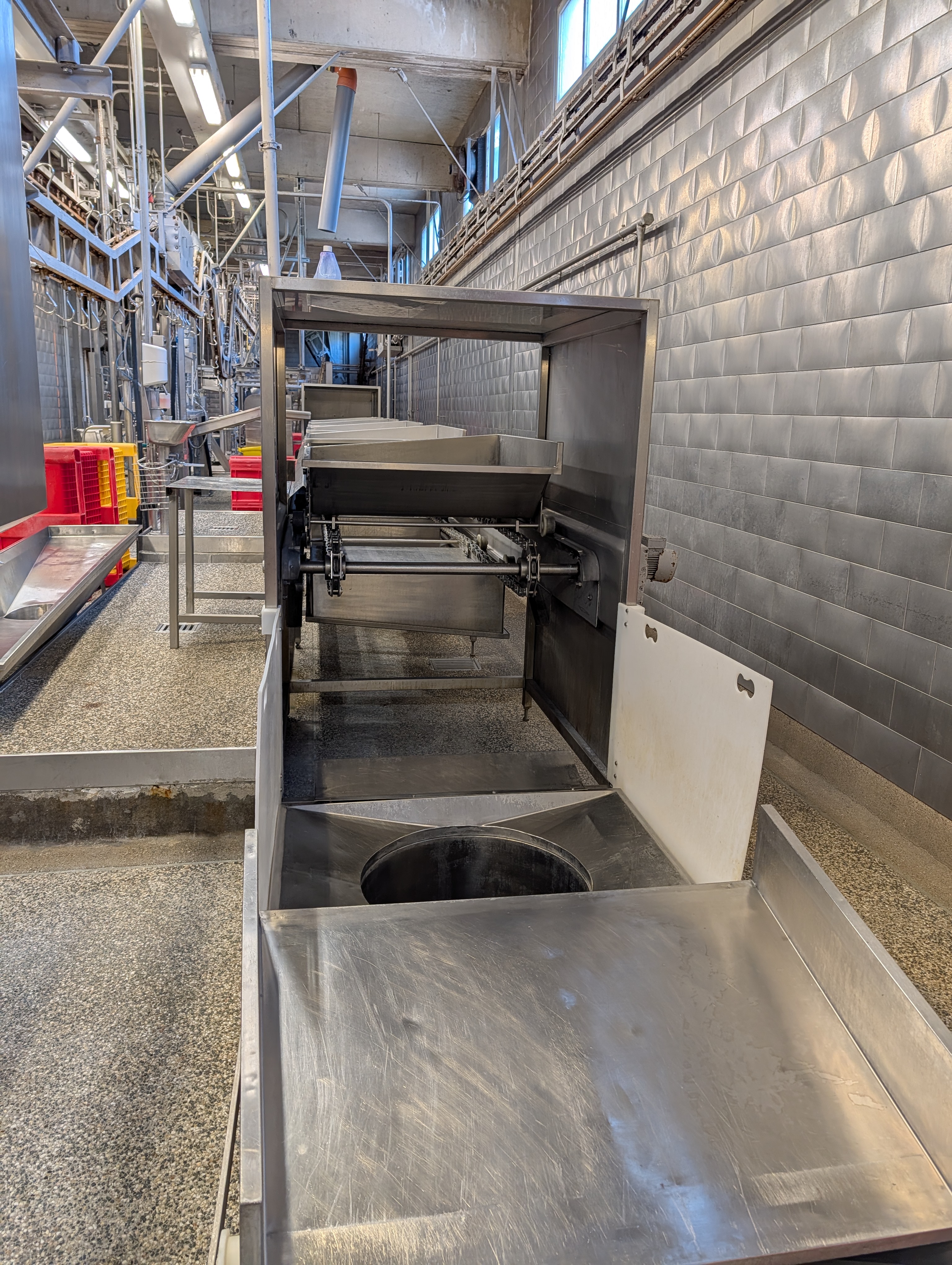 Used 50 cattle per hour slaughterline